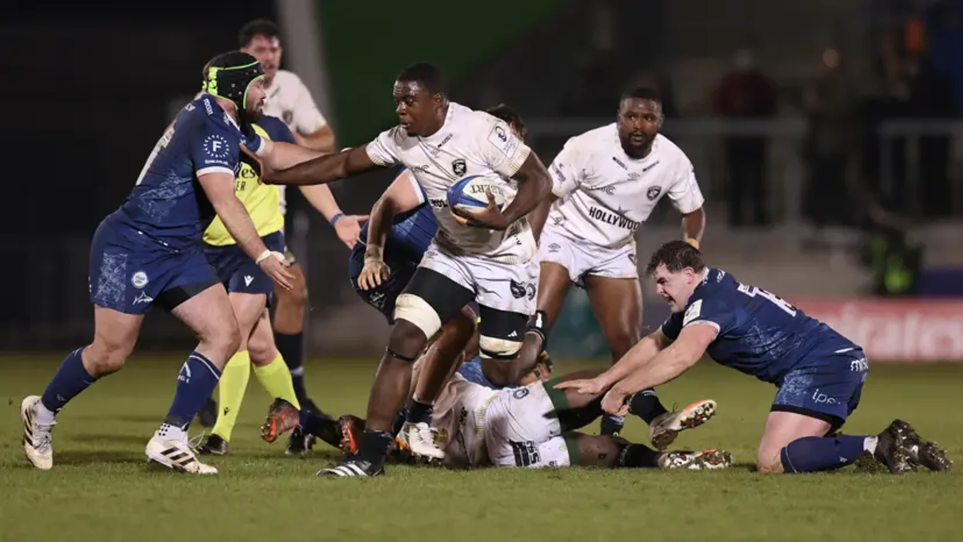 BETTER PREDATOR: Sale win boasting rights in the battle of the Sharks