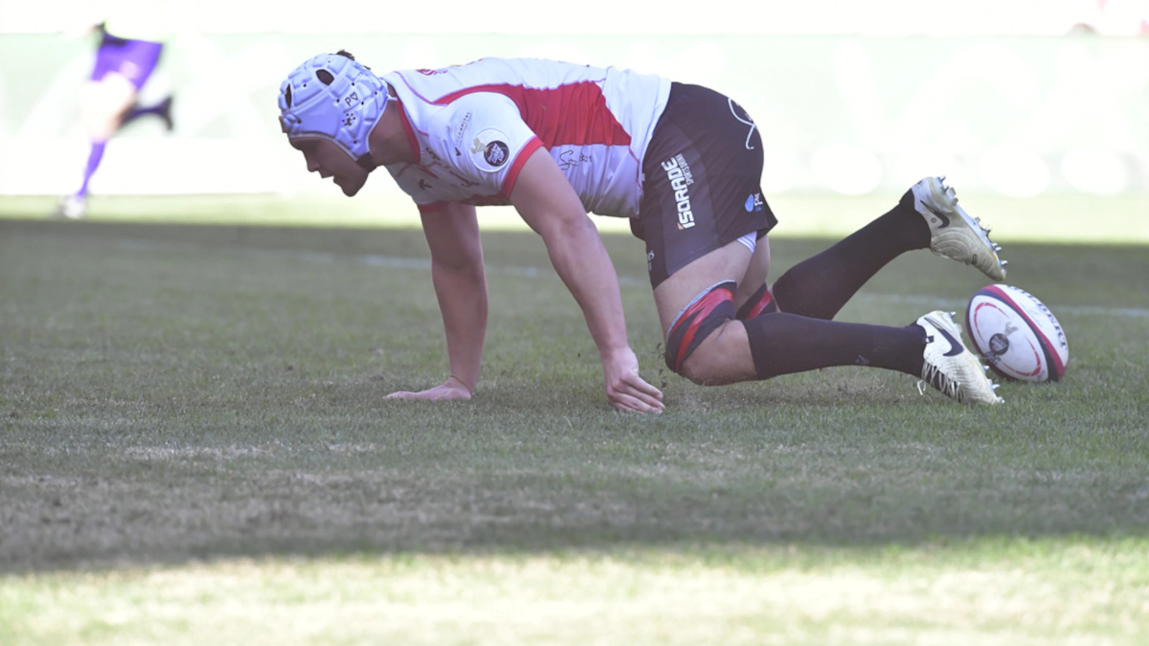 Lions boosted by Venter, Van Wyk return