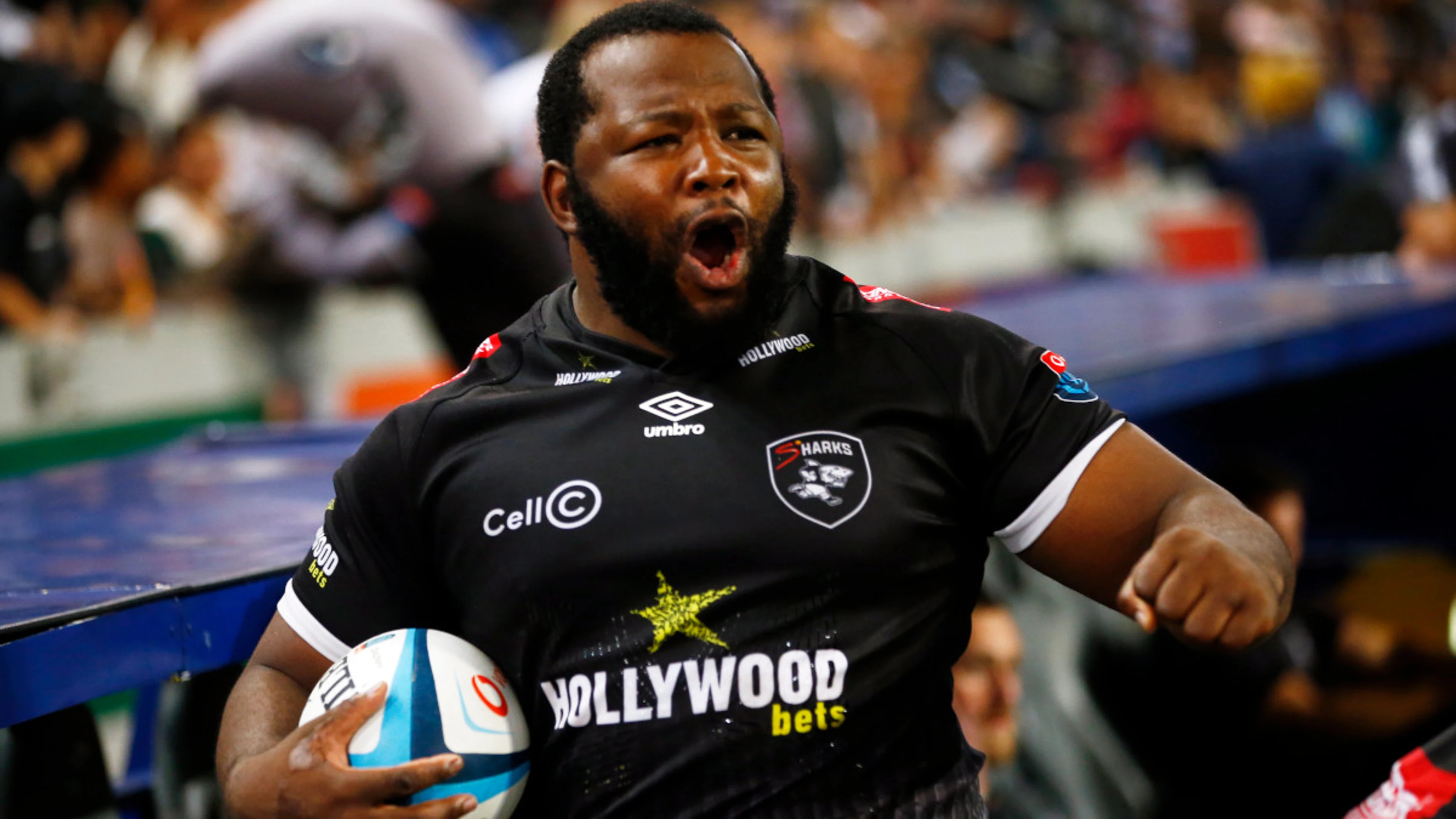 Sleeping giant Sharks should make URC even more competitive