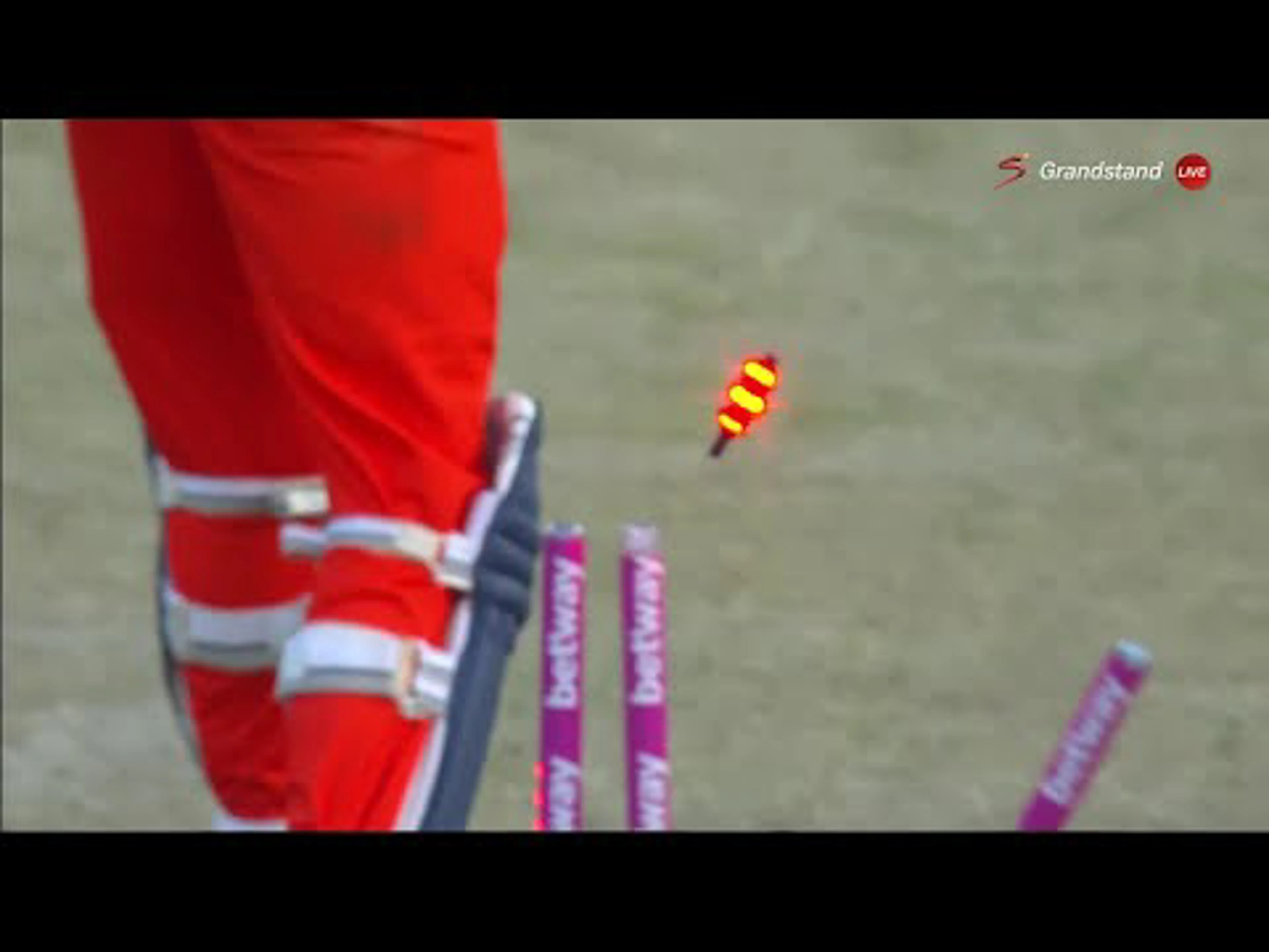 Sisanda Magala 5-43 | South Africa v Netherlands | 3rd ODI