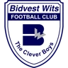 Bidvest Wits logo