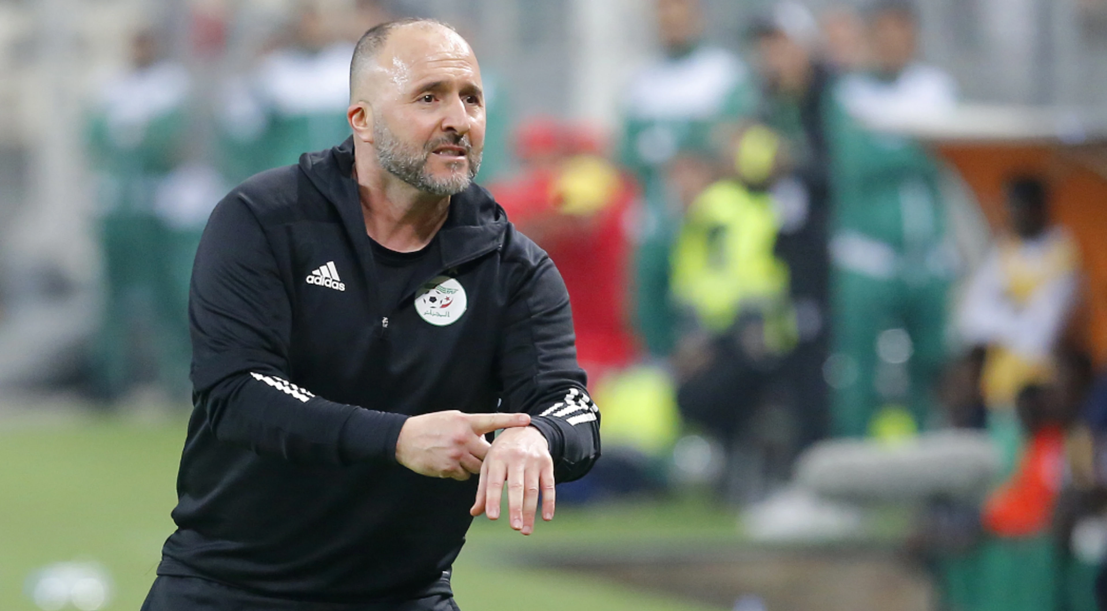 Belmadi urges Algeria to take their chances against Niger