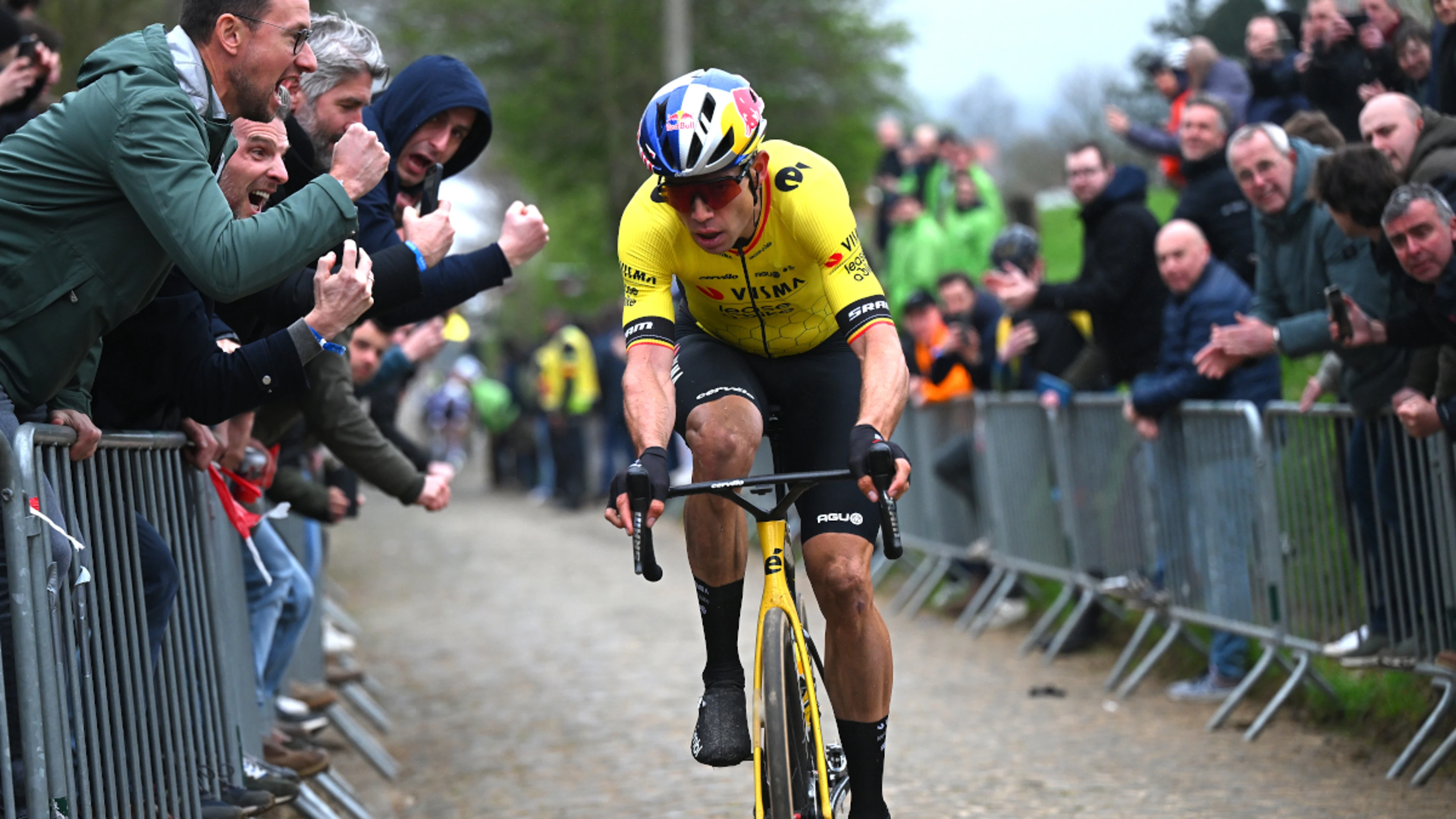 Belgian rider Van Aert damaged lung in crash