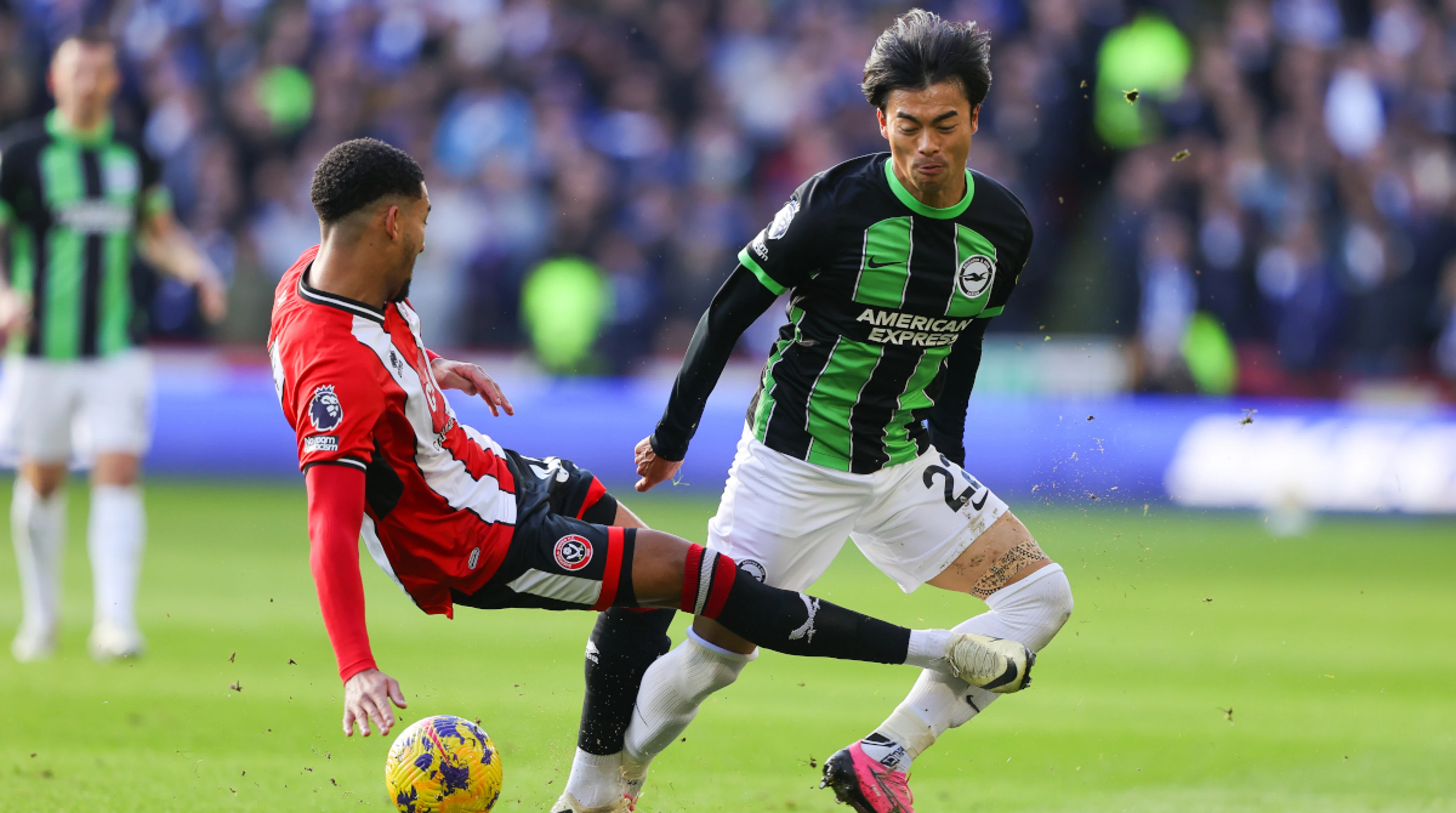 Brighton push Sheffield Utd closer to drop as Holgate sees red