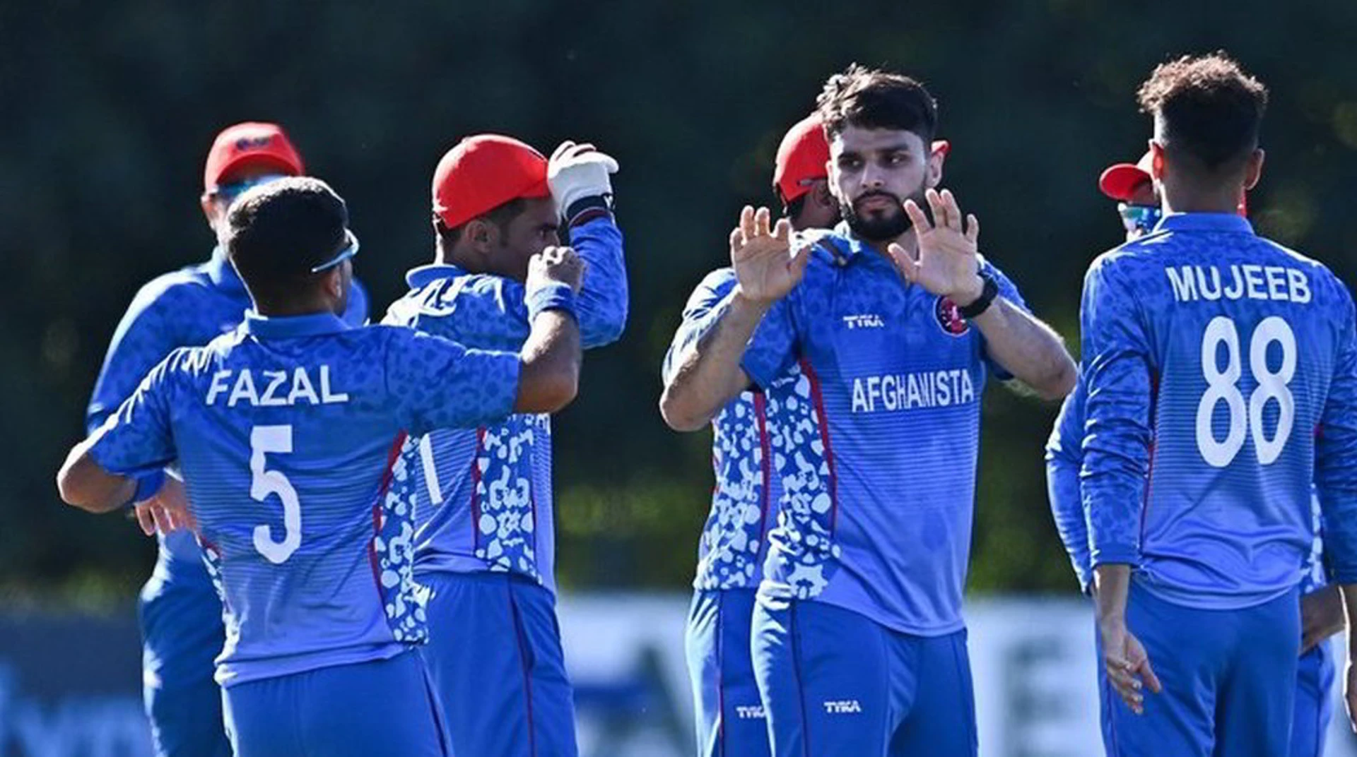 Afghanistan fight back in Ireland T20 series