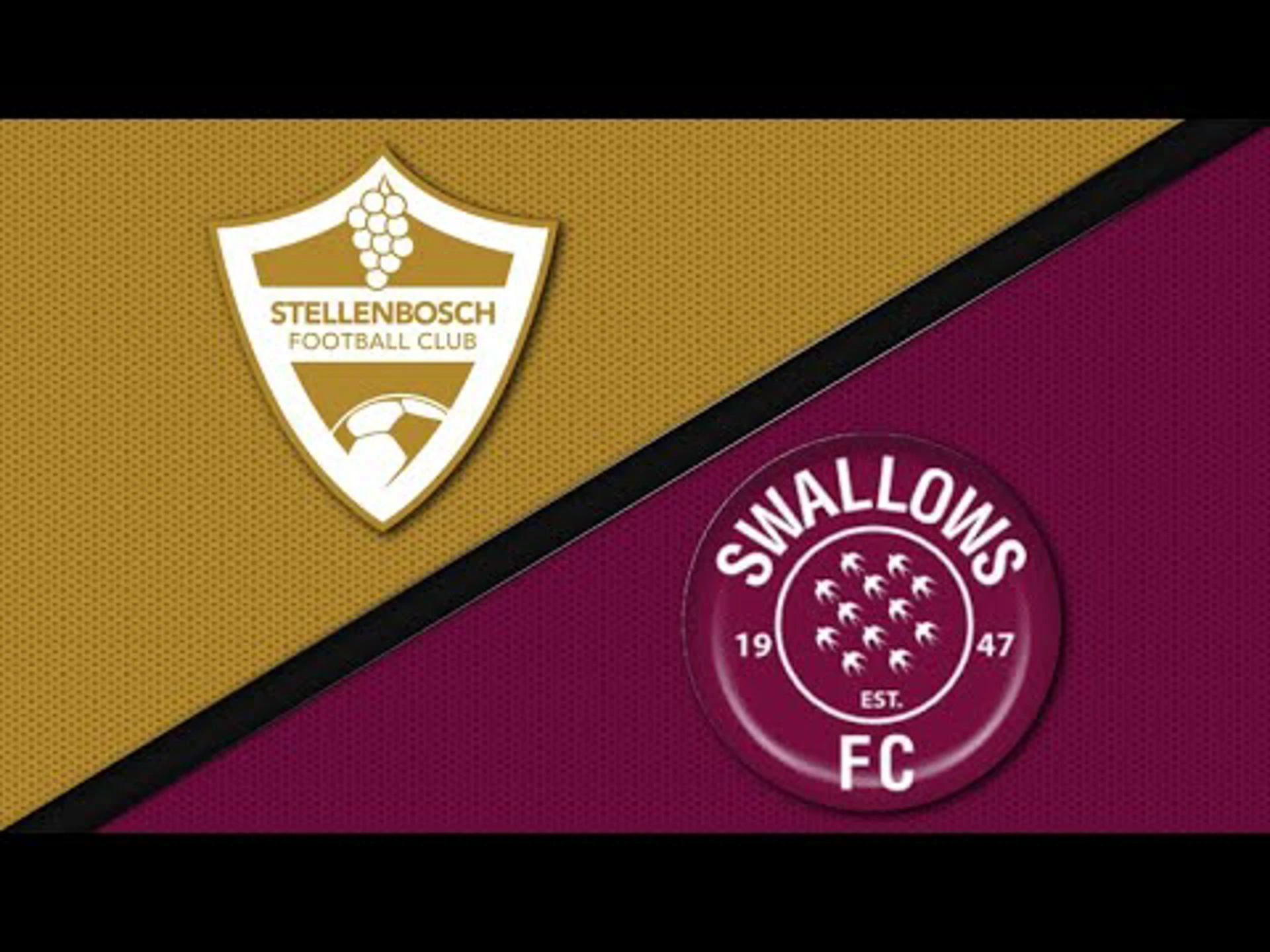 DStv Premiership | Stellenbosch FC v Swallows FC | 90 minutes in 90 seconds