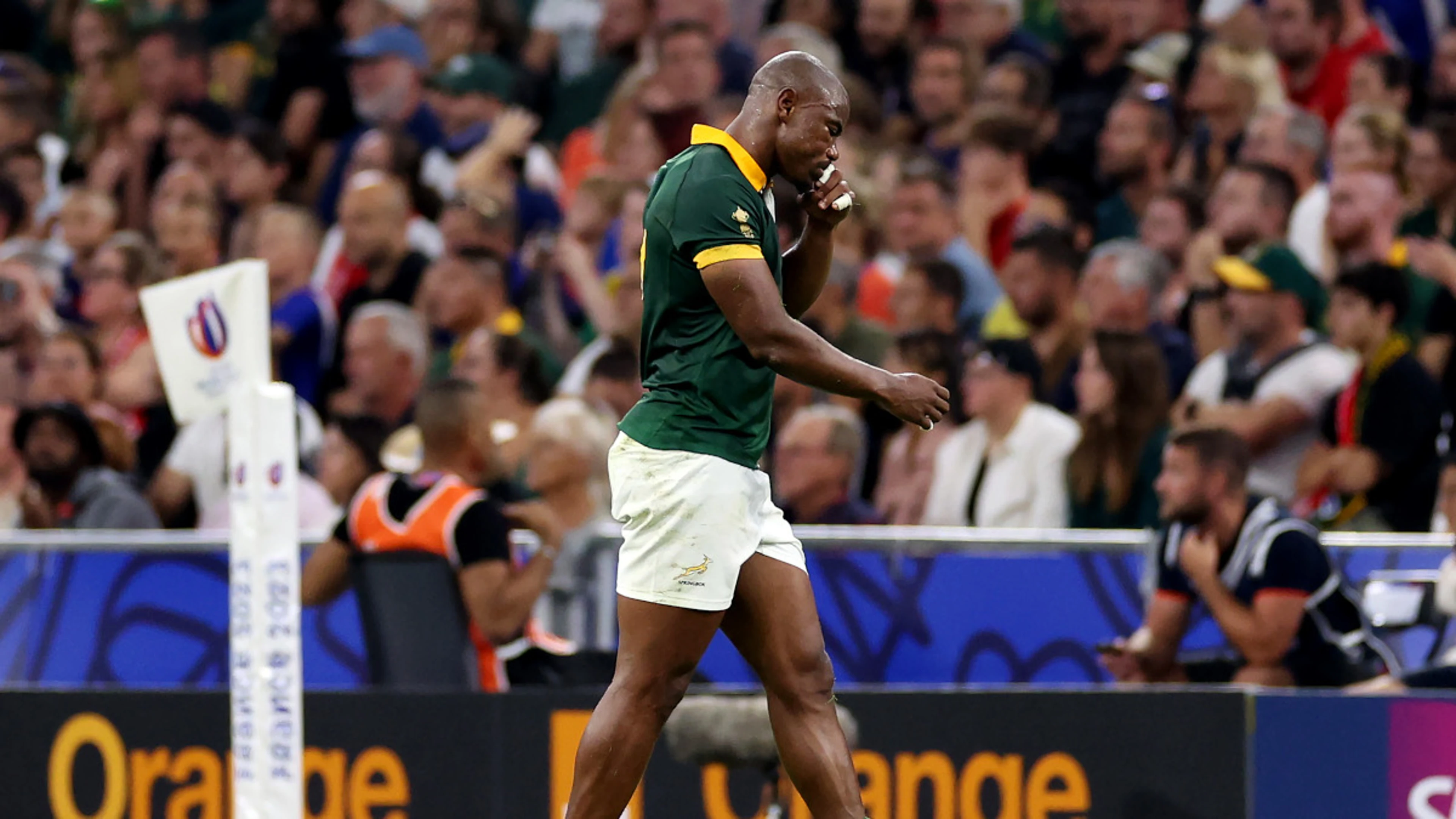 Springboks sweat on Mapimpi injury in wake of Tonga win