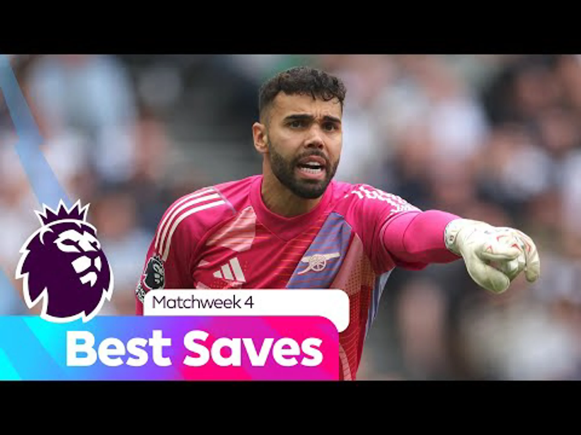 Best Saves from Matchweek 4 | Premier League