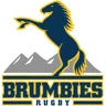 home-logo