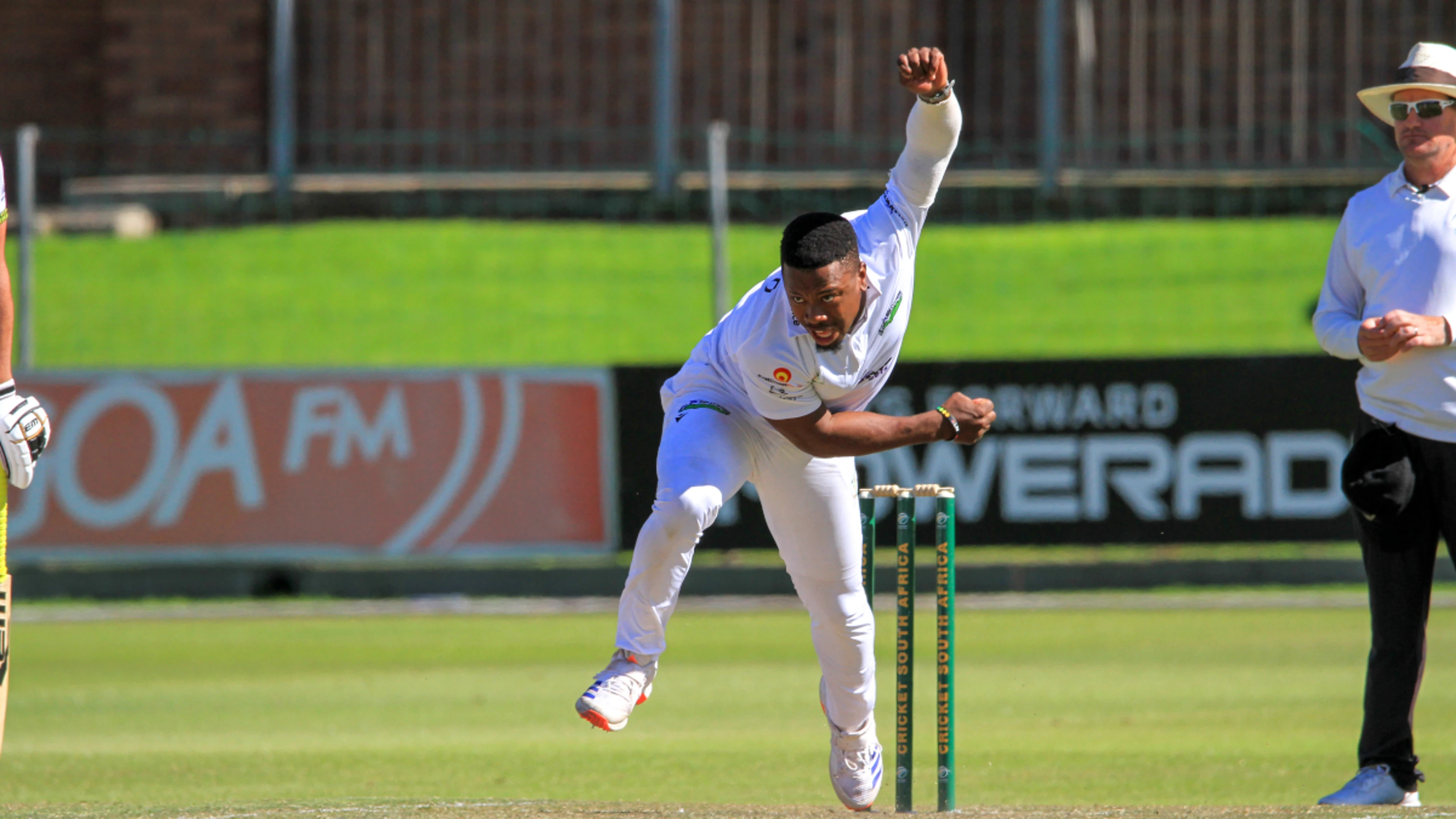 Dolphins stars shine in the Caribbean