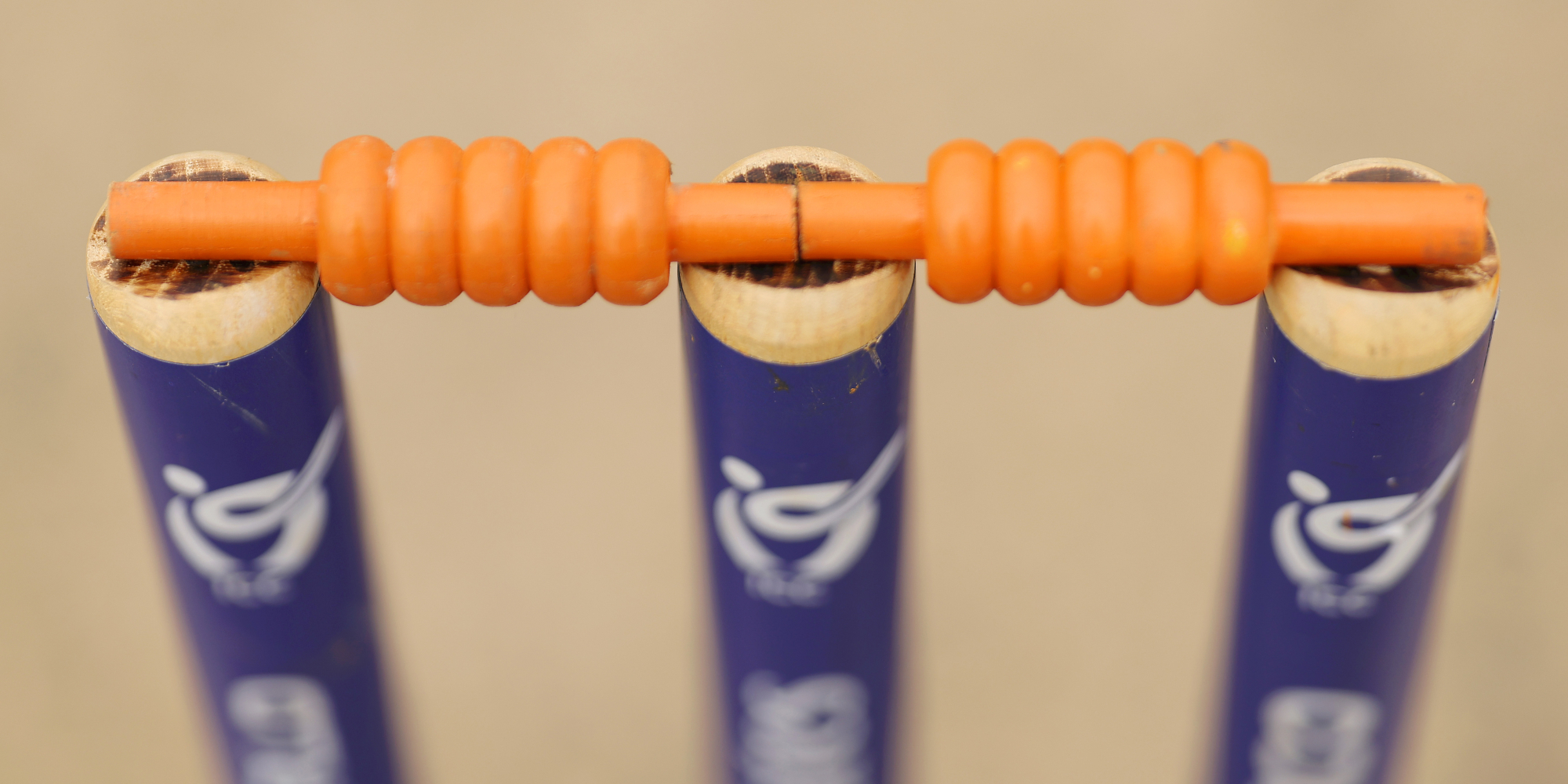 Sri Lanka T20 team owner sentenced over match-fixing