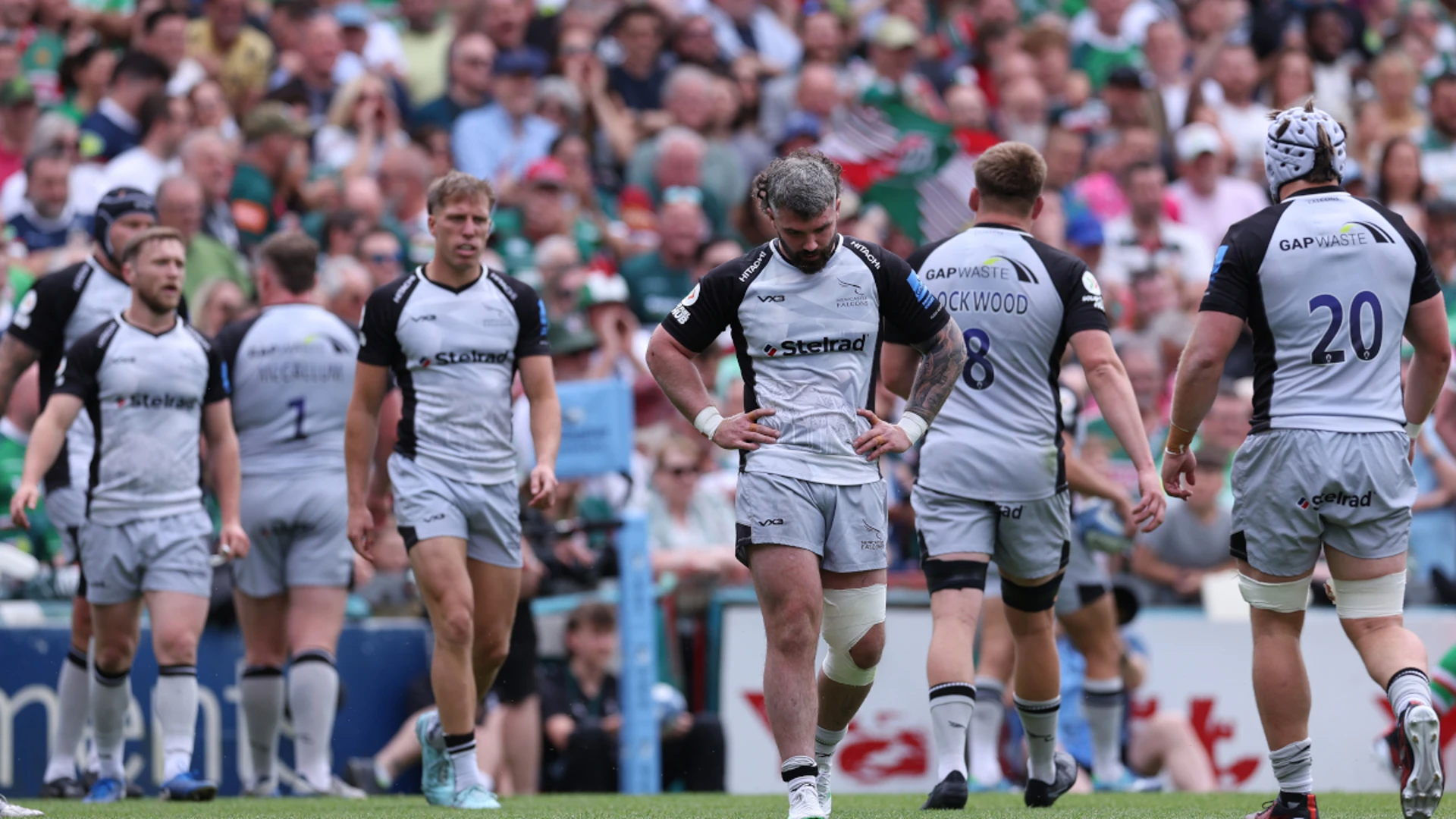 Red Bull buy English rugby strugglers Newcastle