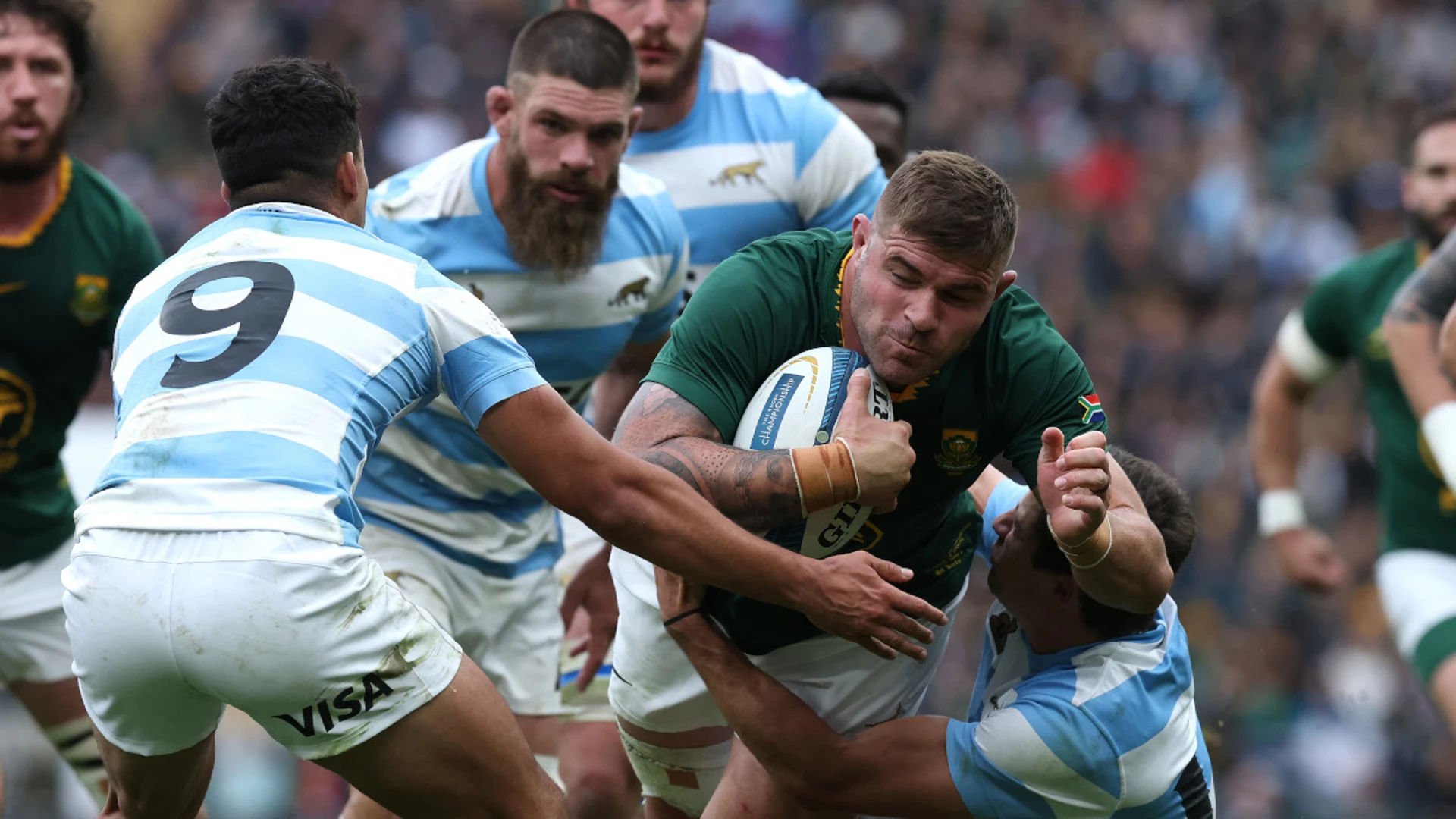 STRIKING IT RICH: Covering the Boks after being treated like a cow