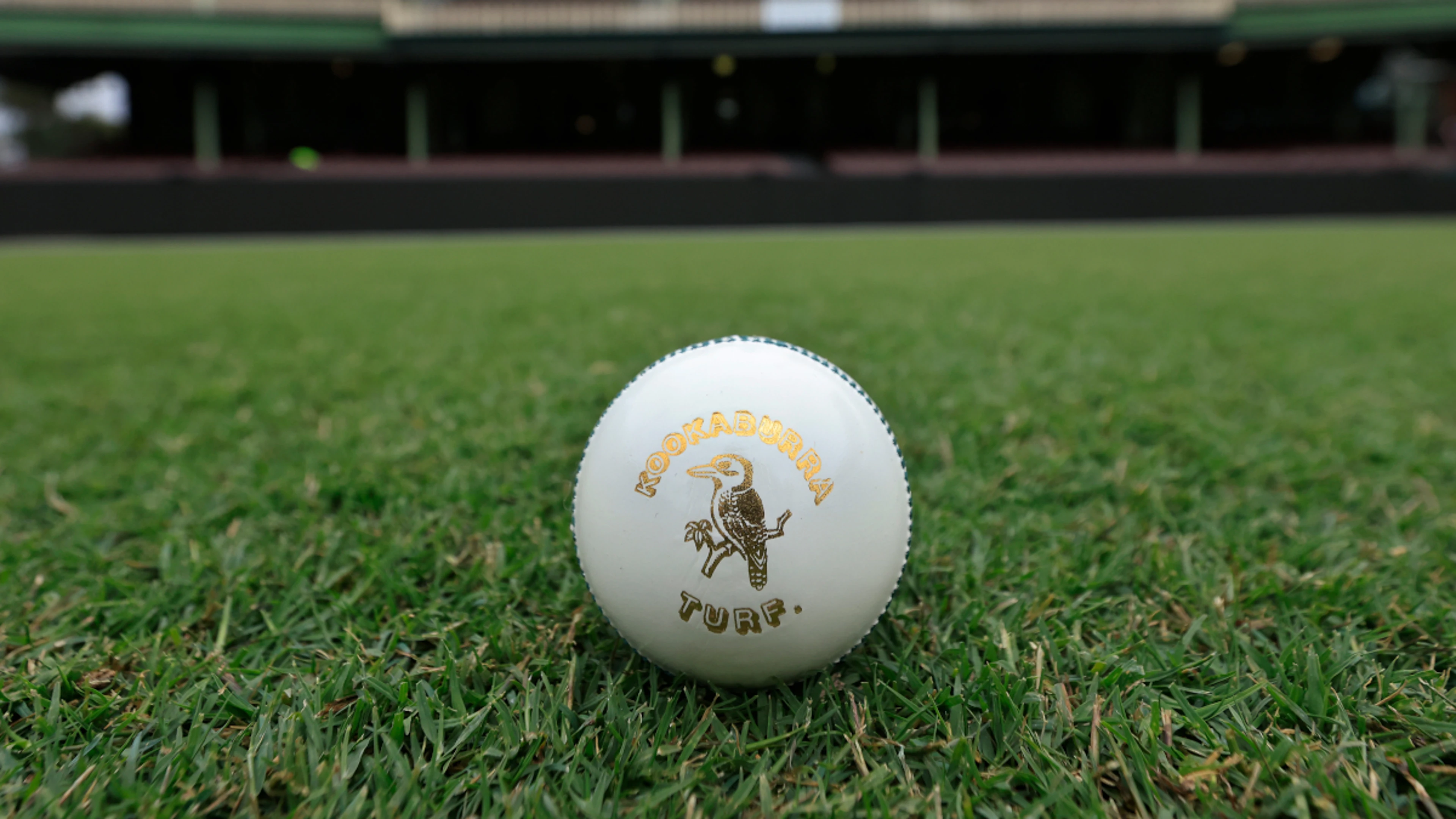 Fifth T20 rains out in Harare to set up series finale