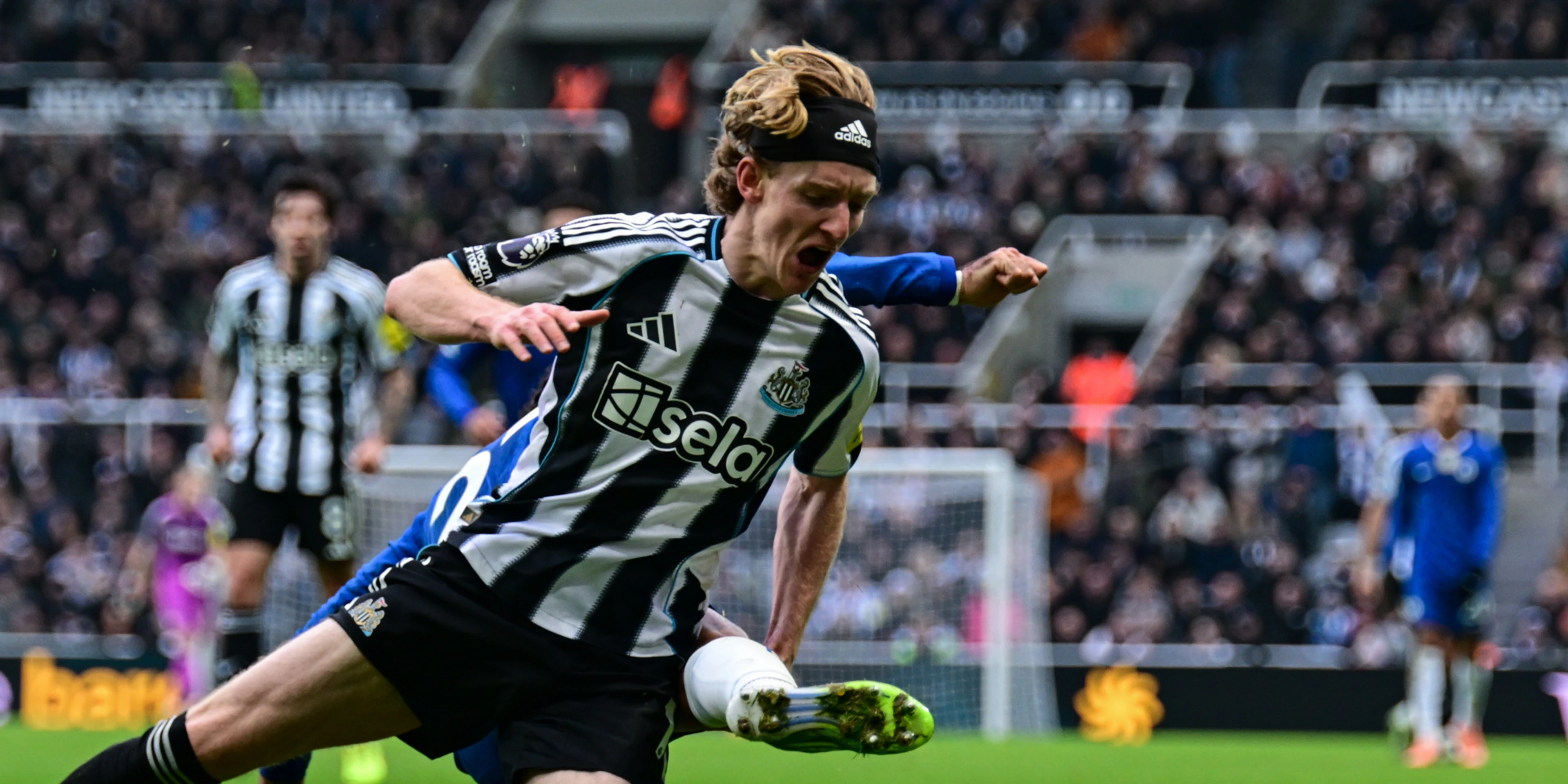 Newcastle call for clarification on Gordon penalty denial in Chelsea draw