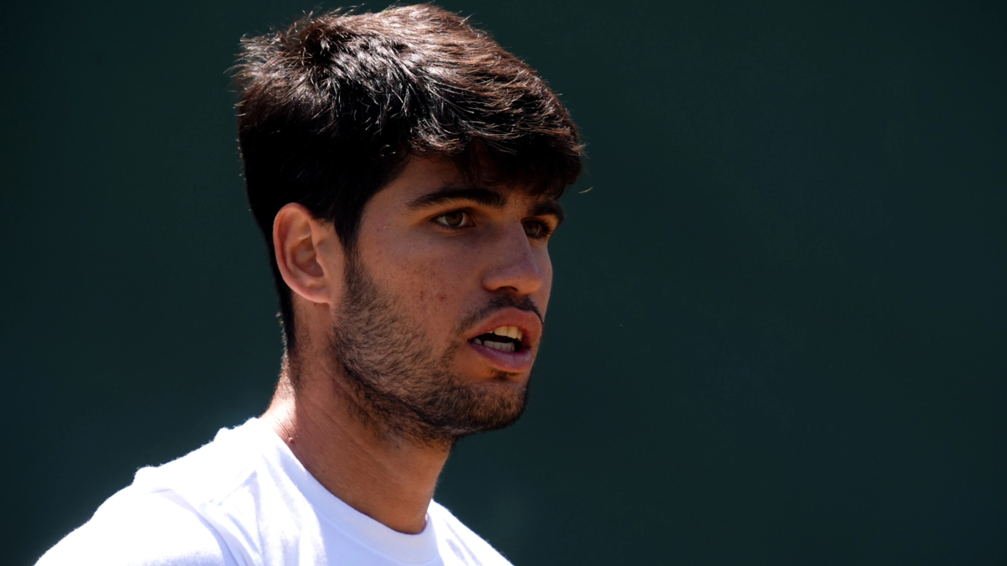 Alcaraz faces Norrie test at Wimbledon, Sabalenka eyes semifinals