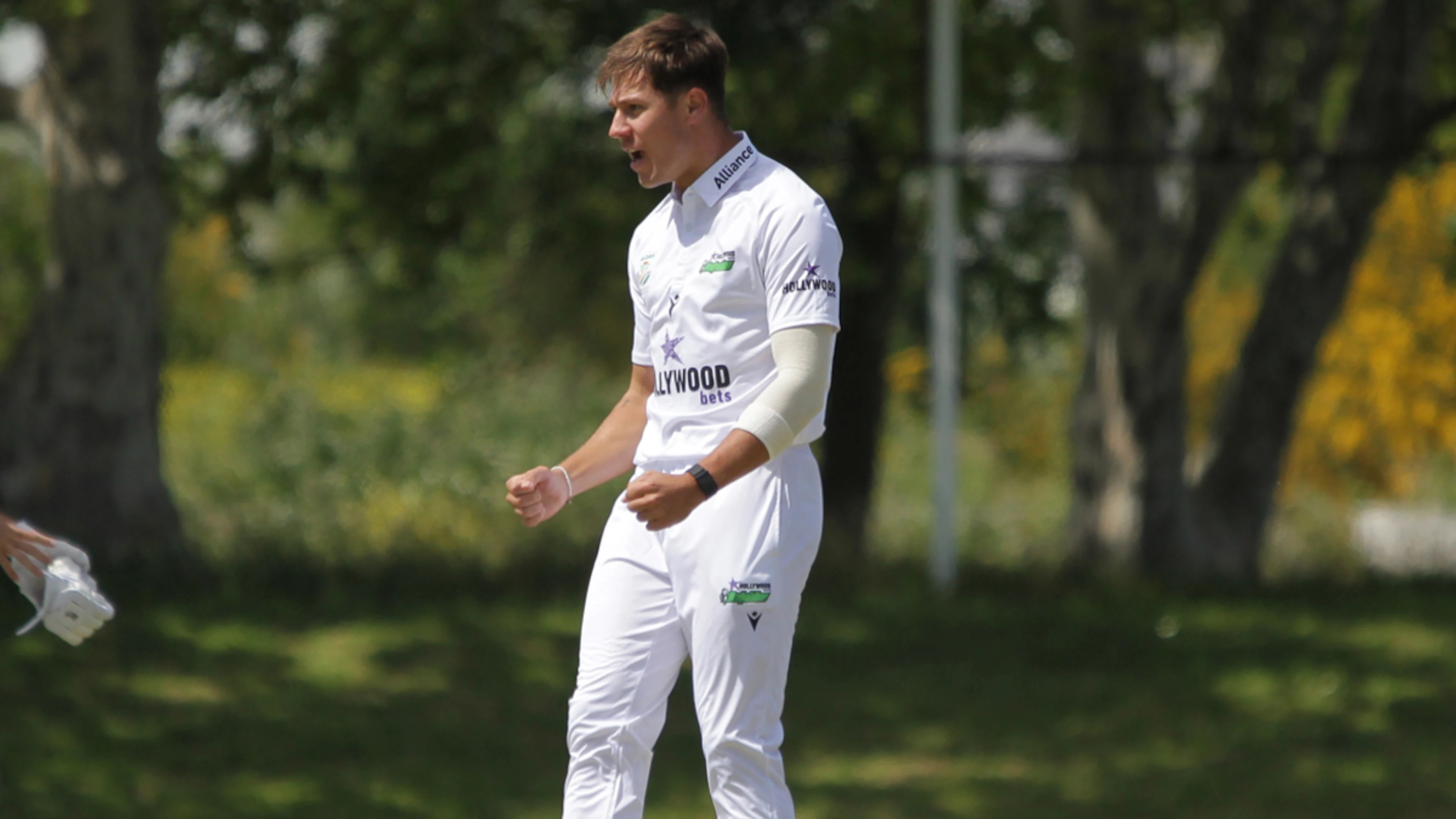 Dolphins hoping to shine on day two