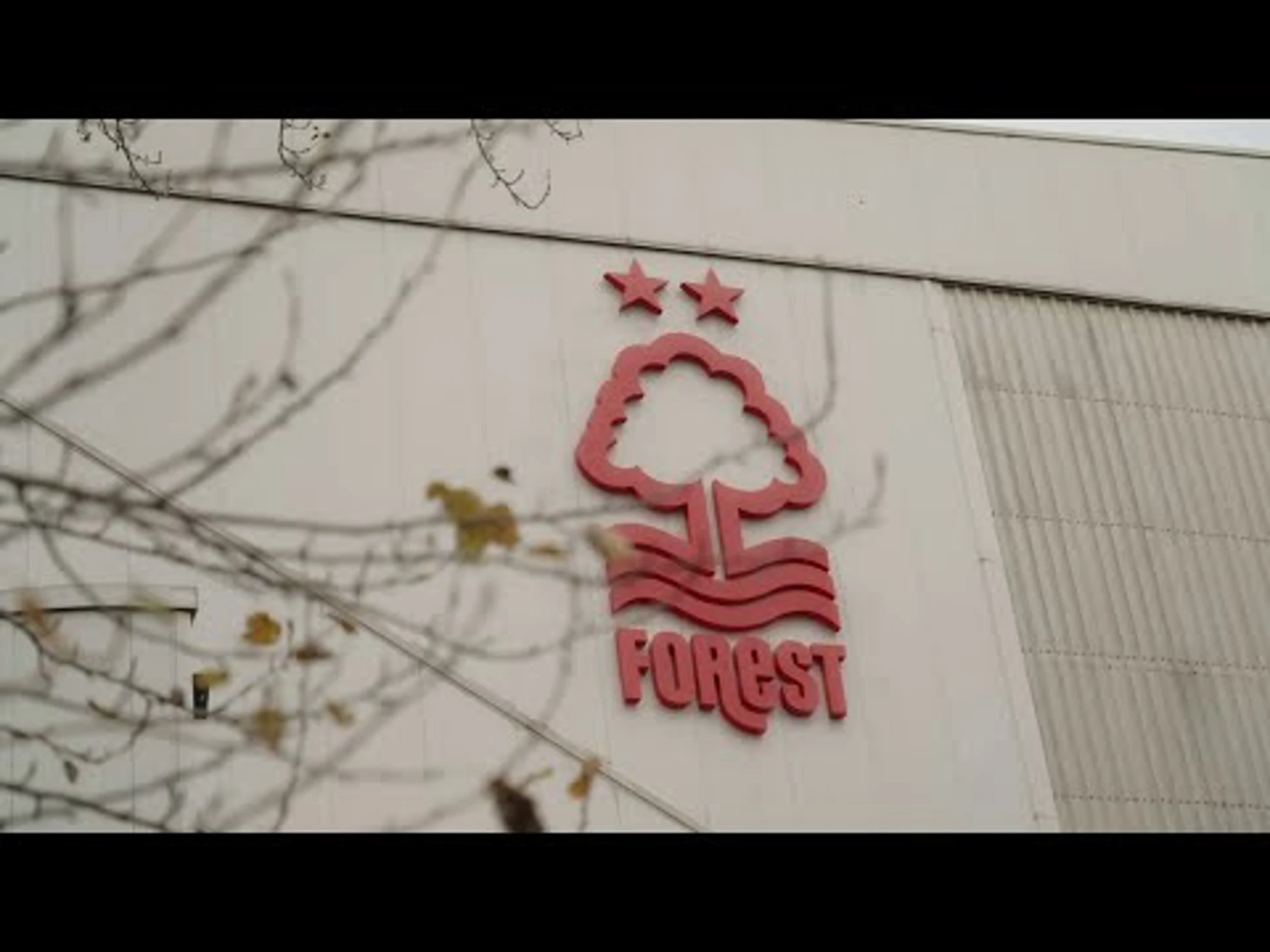 Nottingham Forest v Brighton & Hove Albion | Matchday 24 Preview | Premier League