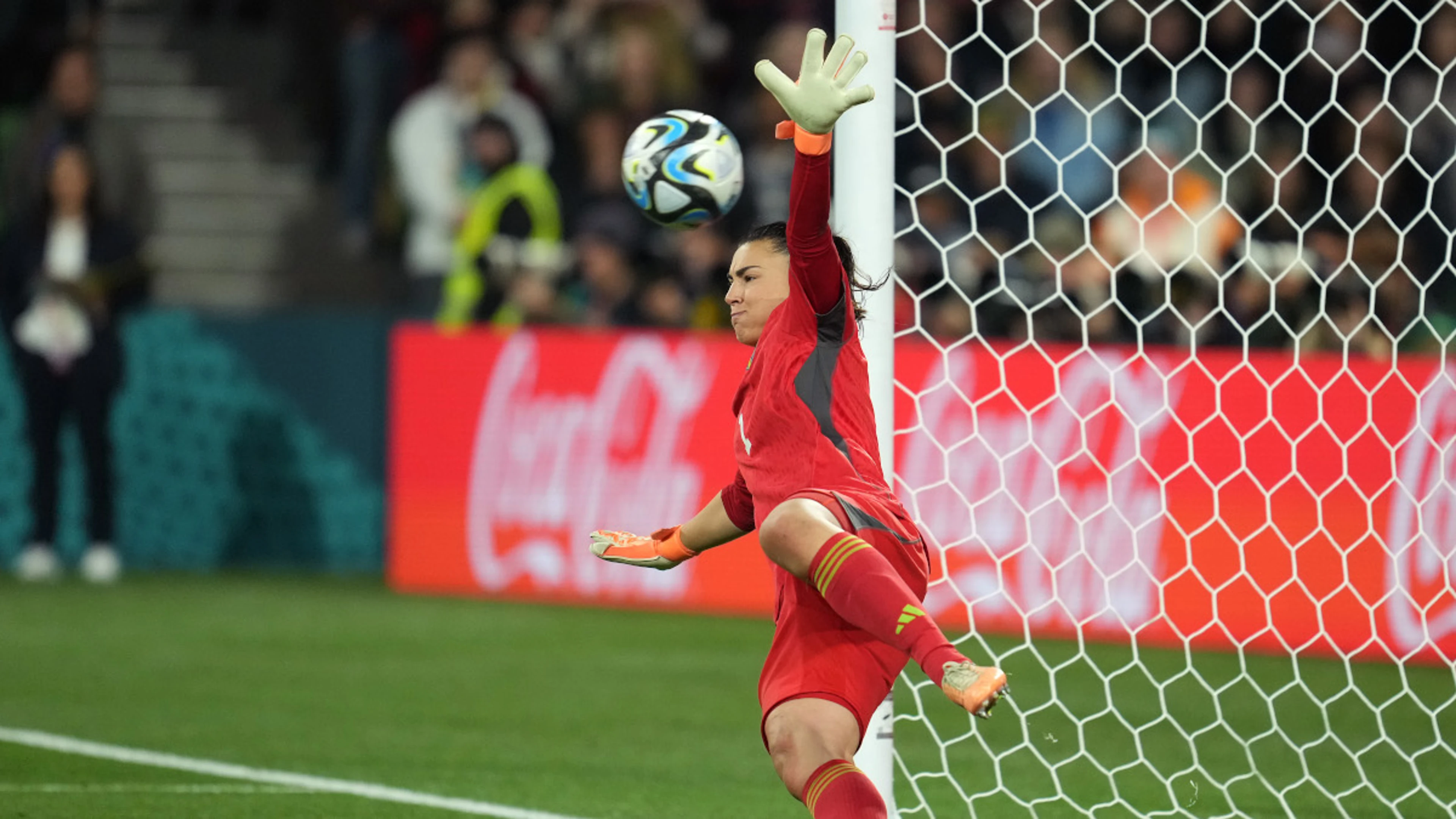 Sweden hero Musovic lost for words