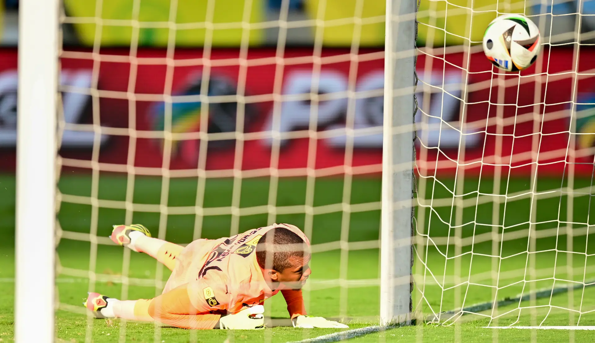 2024 MTN8: When the Woodwork Said No!