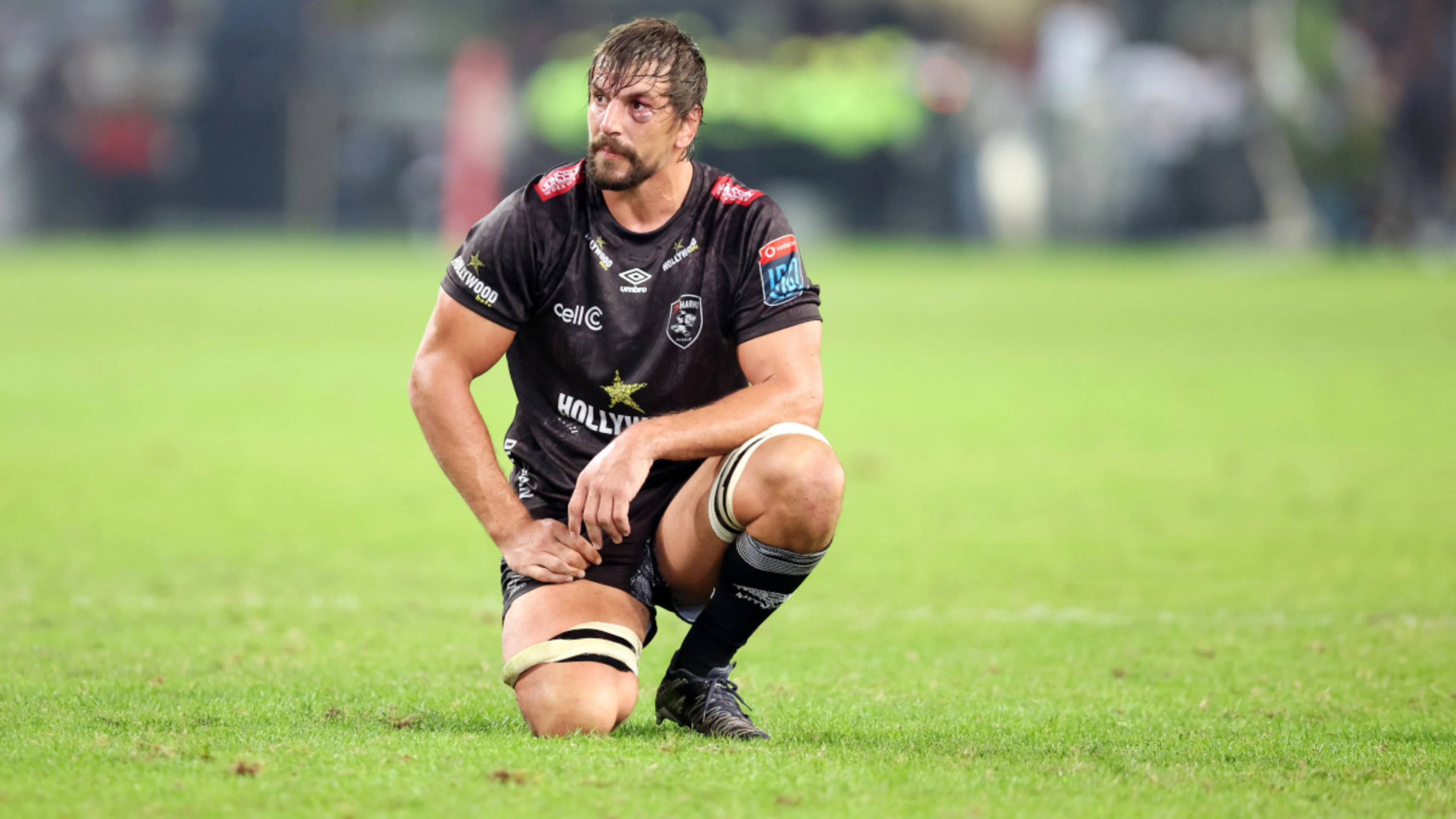 Sharks blow as they go without Eben for the semifinal