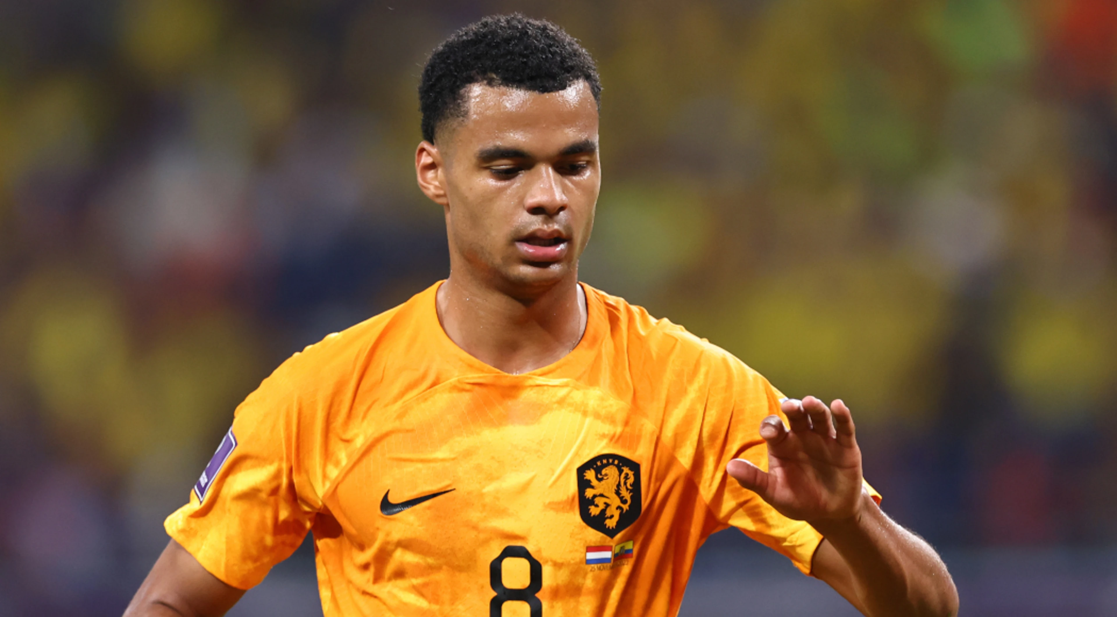 Gakpo stars for Netherlands as transfer suitors circle