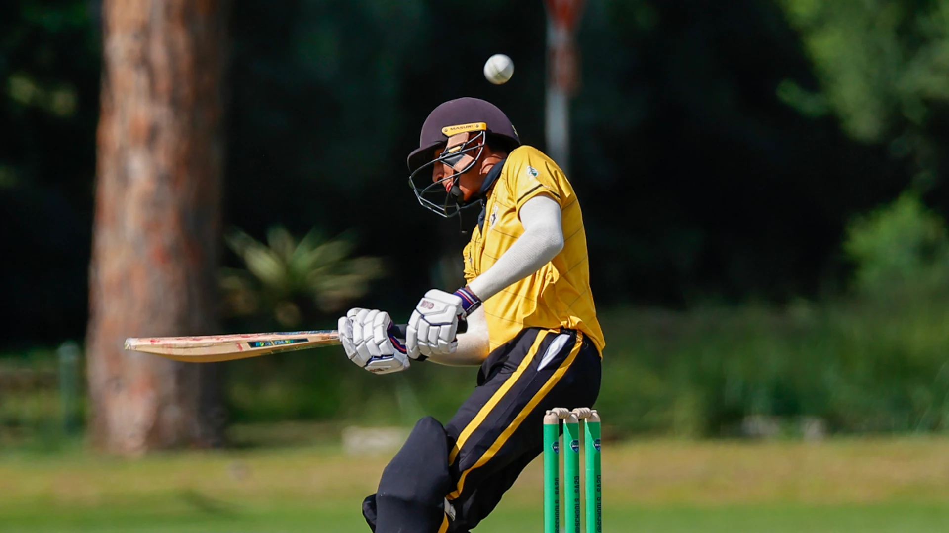 St David's Morteza Manack stars with bat and ball in Schools SA20 opening day