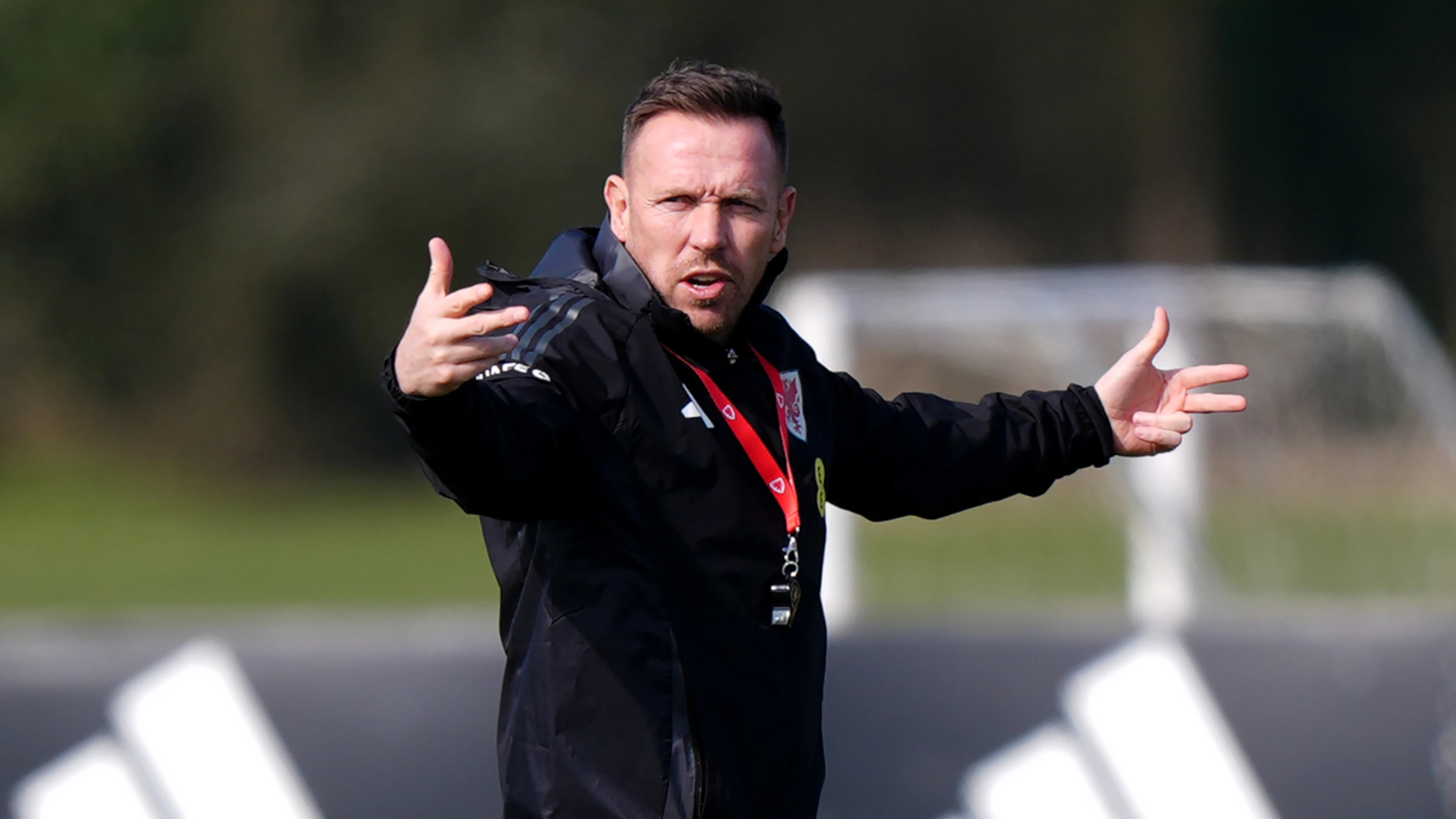 Wales boss Bellamy has no fear of Belgium after 'best year'