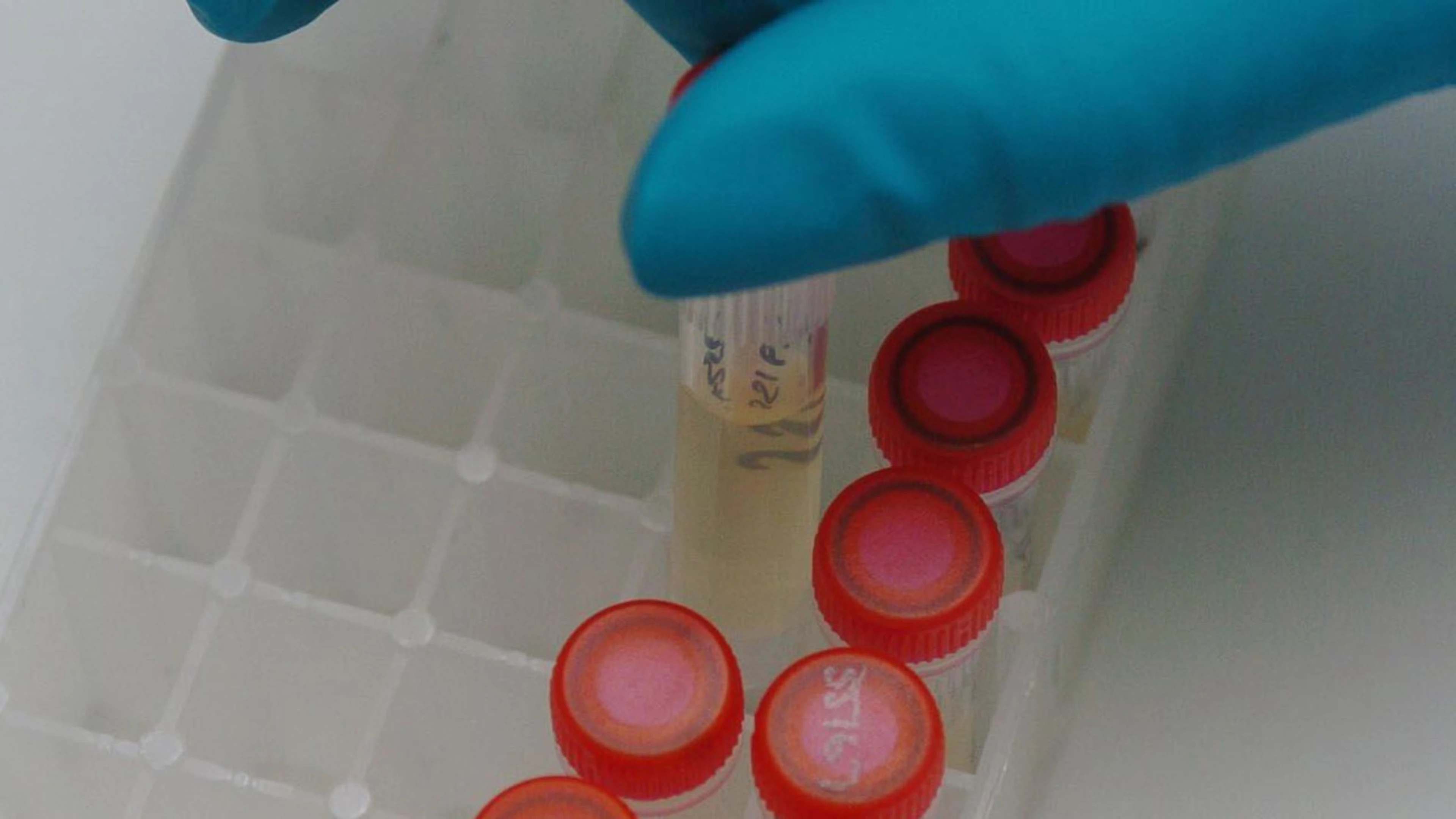 Chinese swimmers failed doping tests ahead of Tokyo Olympics: NY Times