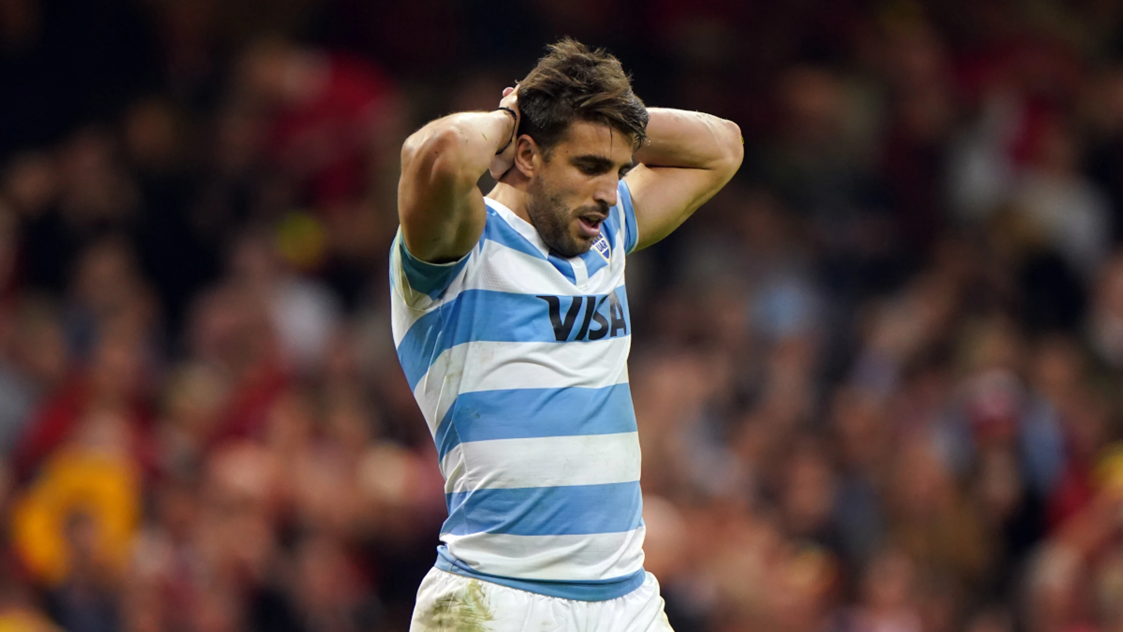 Argentine Mallia suspended over collision with Springbok Williams