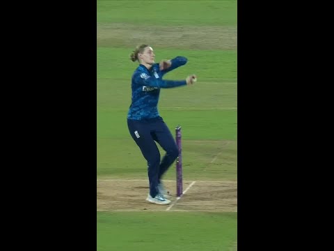 Wolvaardt was operating on a different level