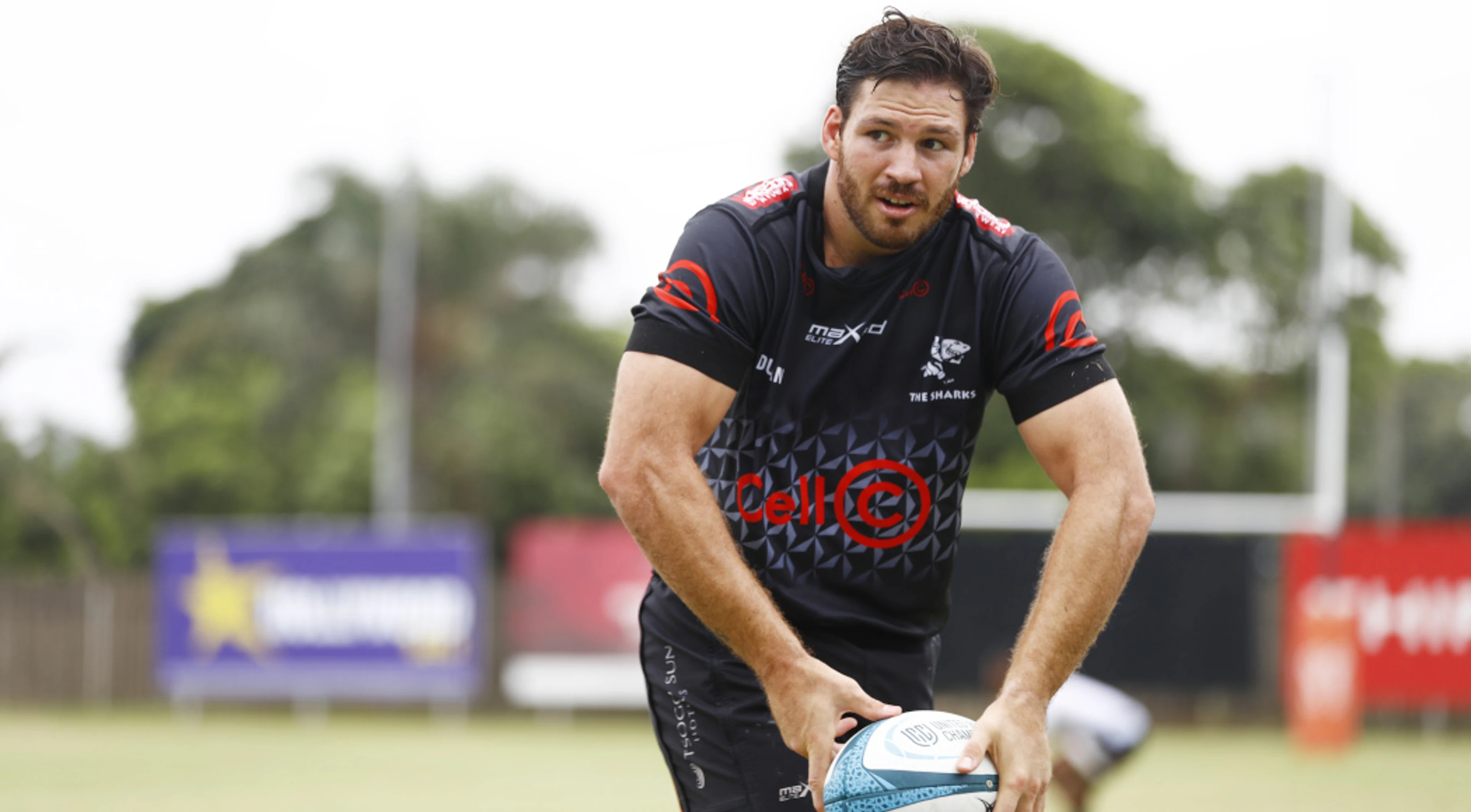 Sharks discards combine in Lions midfield