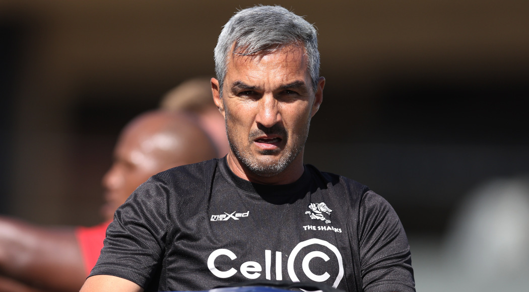 Sharks can use Toulouse experience to galvanise URC challenge