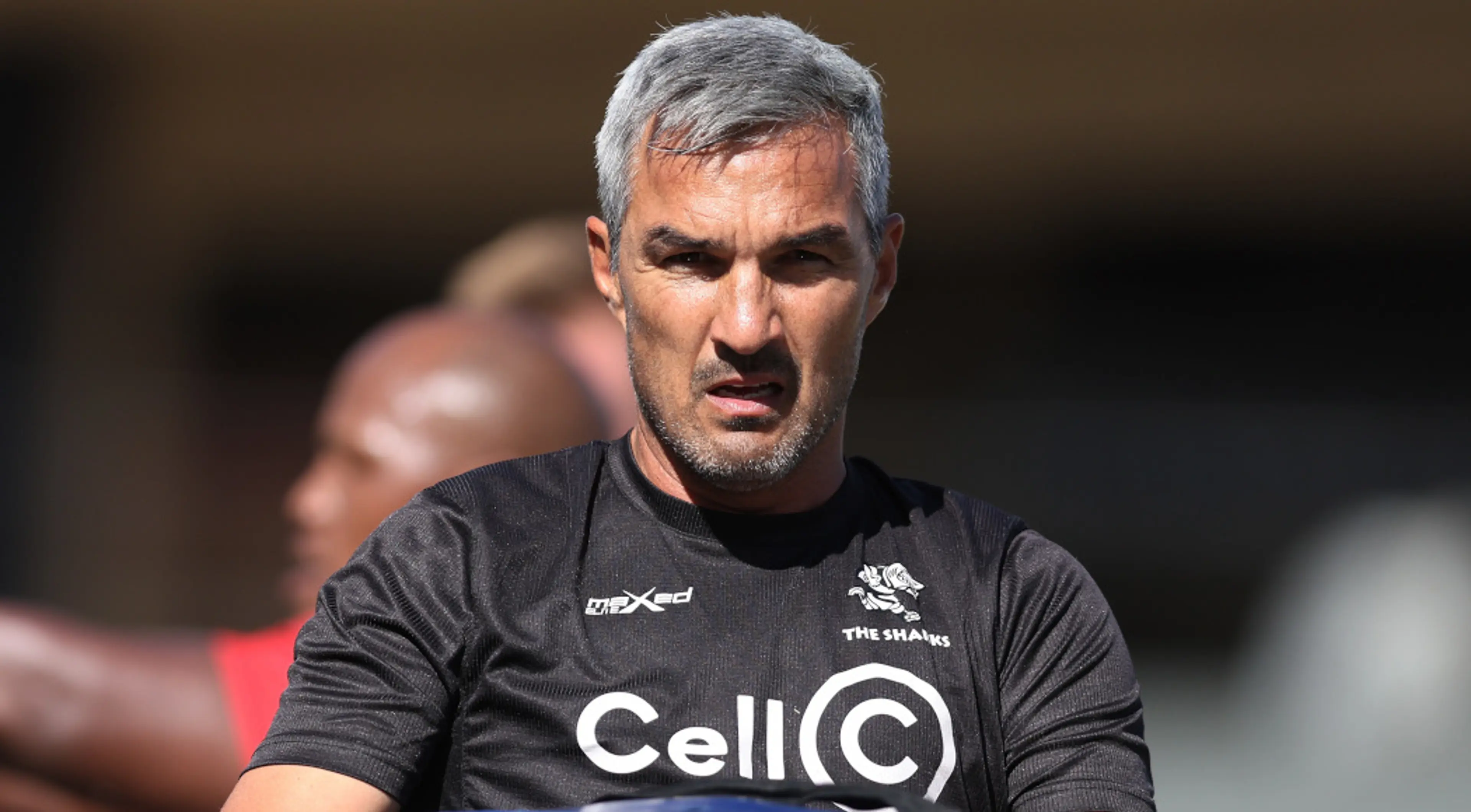 Sharks can use Toulouse experience to galvanise URC challenge