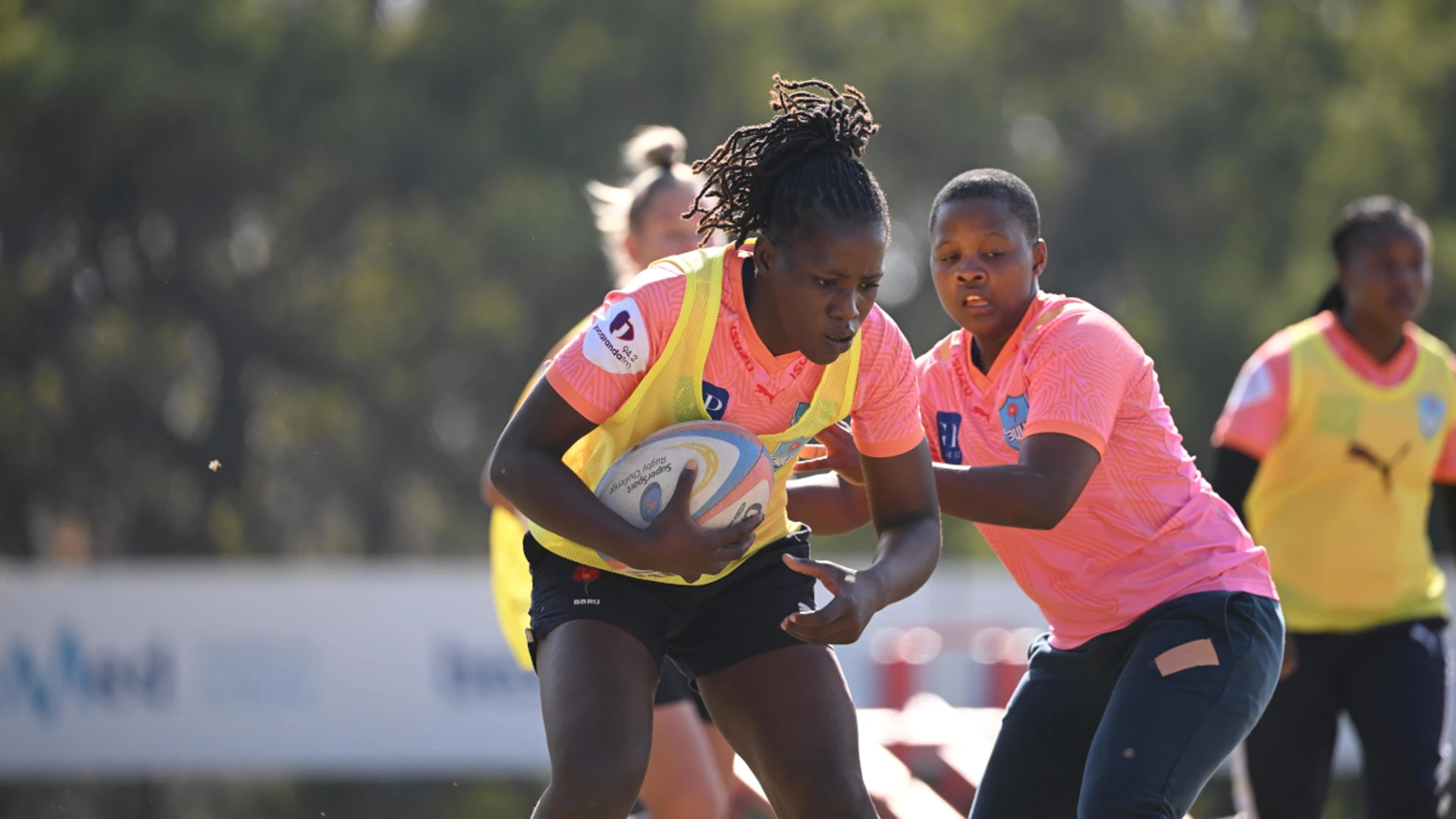 Daisies travel to Wellington for crucial battle versus Boland in round twelve