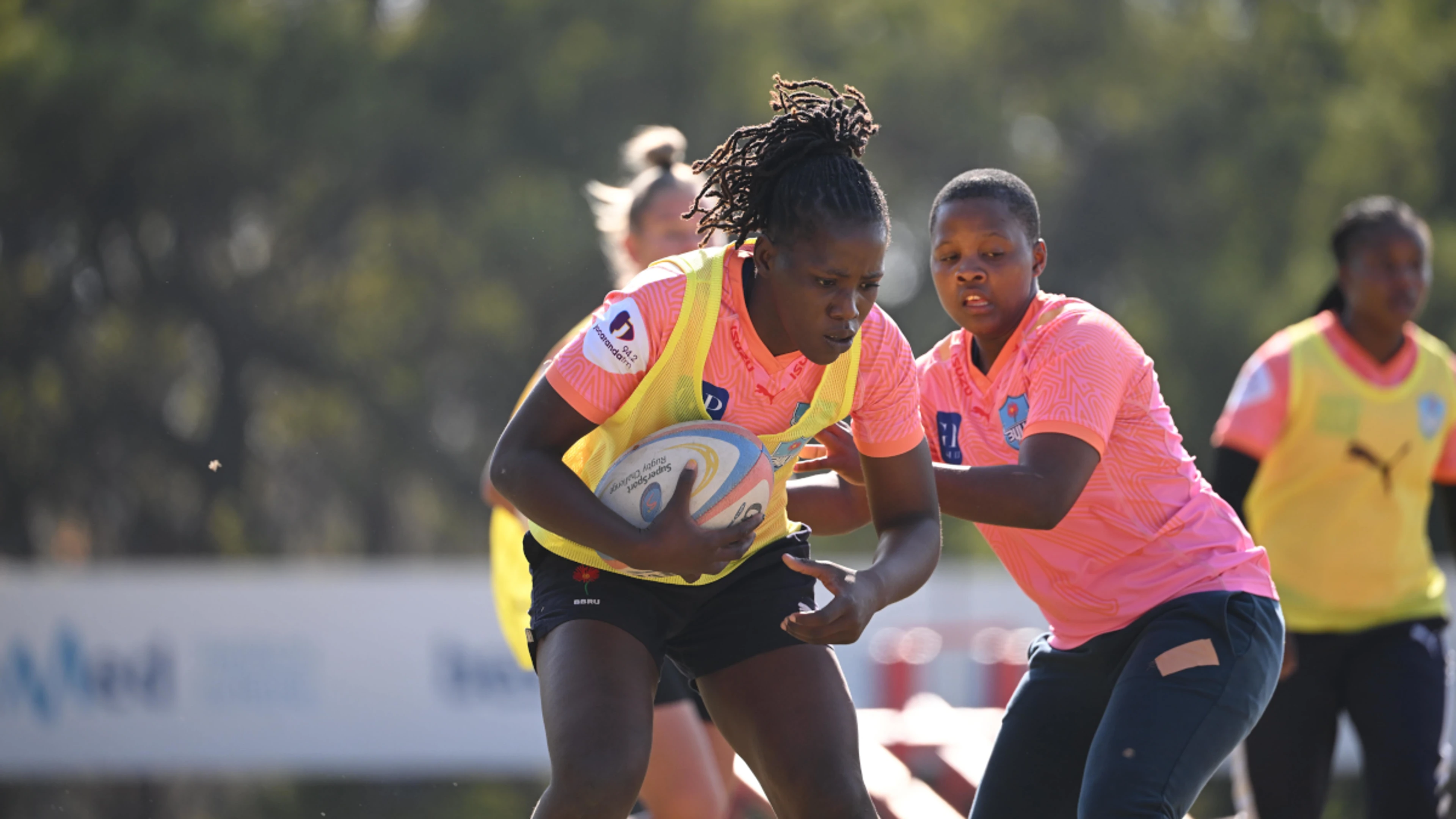 Daisies travel to Wellington for crucial battle versus Boland in round twelve