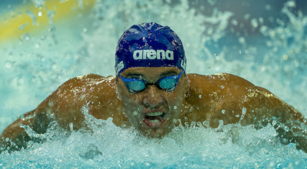 Le Clos and Gallagher shine as Schoeman rolls back the years