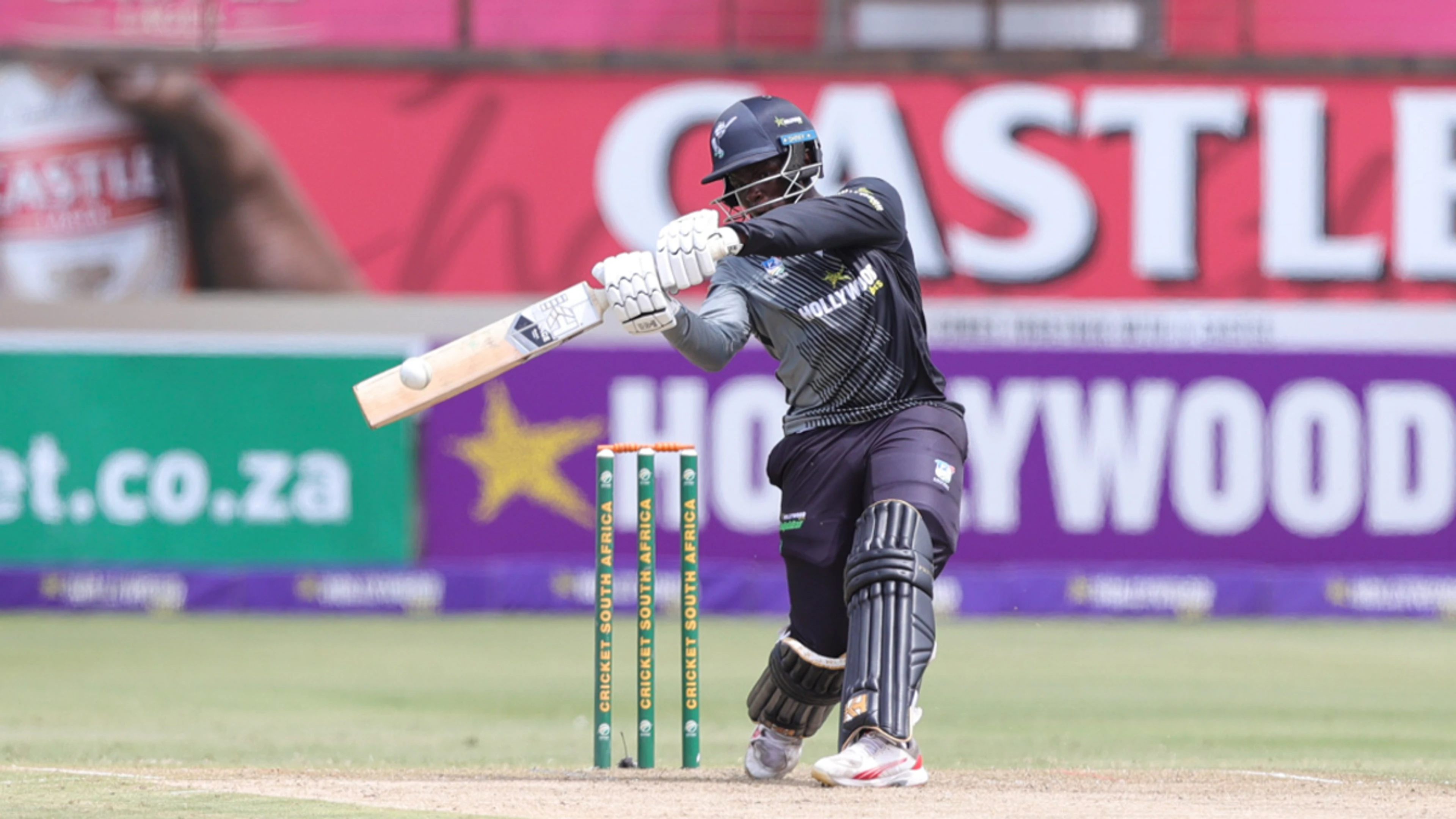 Dolphins juniors shining through