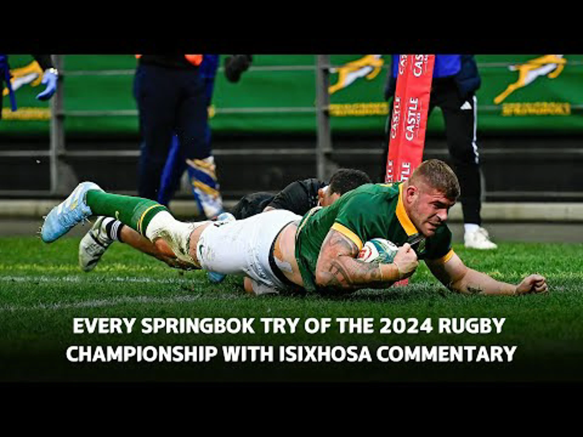 All 24 Springbok Tries in the 2024 Rugby Championship With isiXhosa Commentary