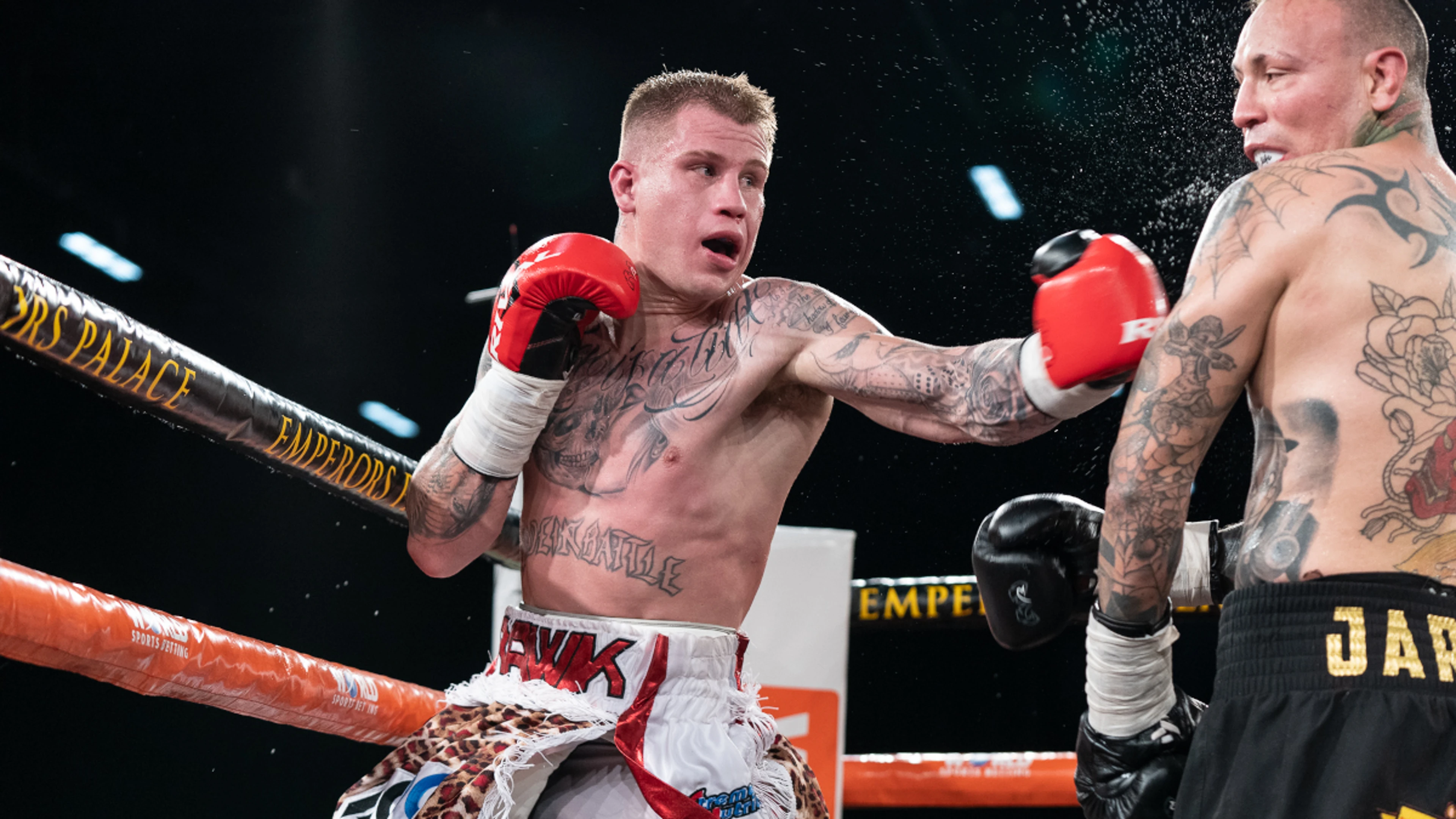 Knapp returns to action at Emperors Palace in September