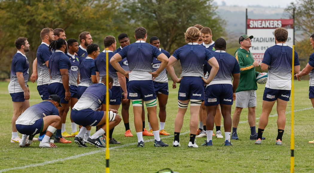 Historical perspective: Becoming Kalahari lions could help Boks catch up