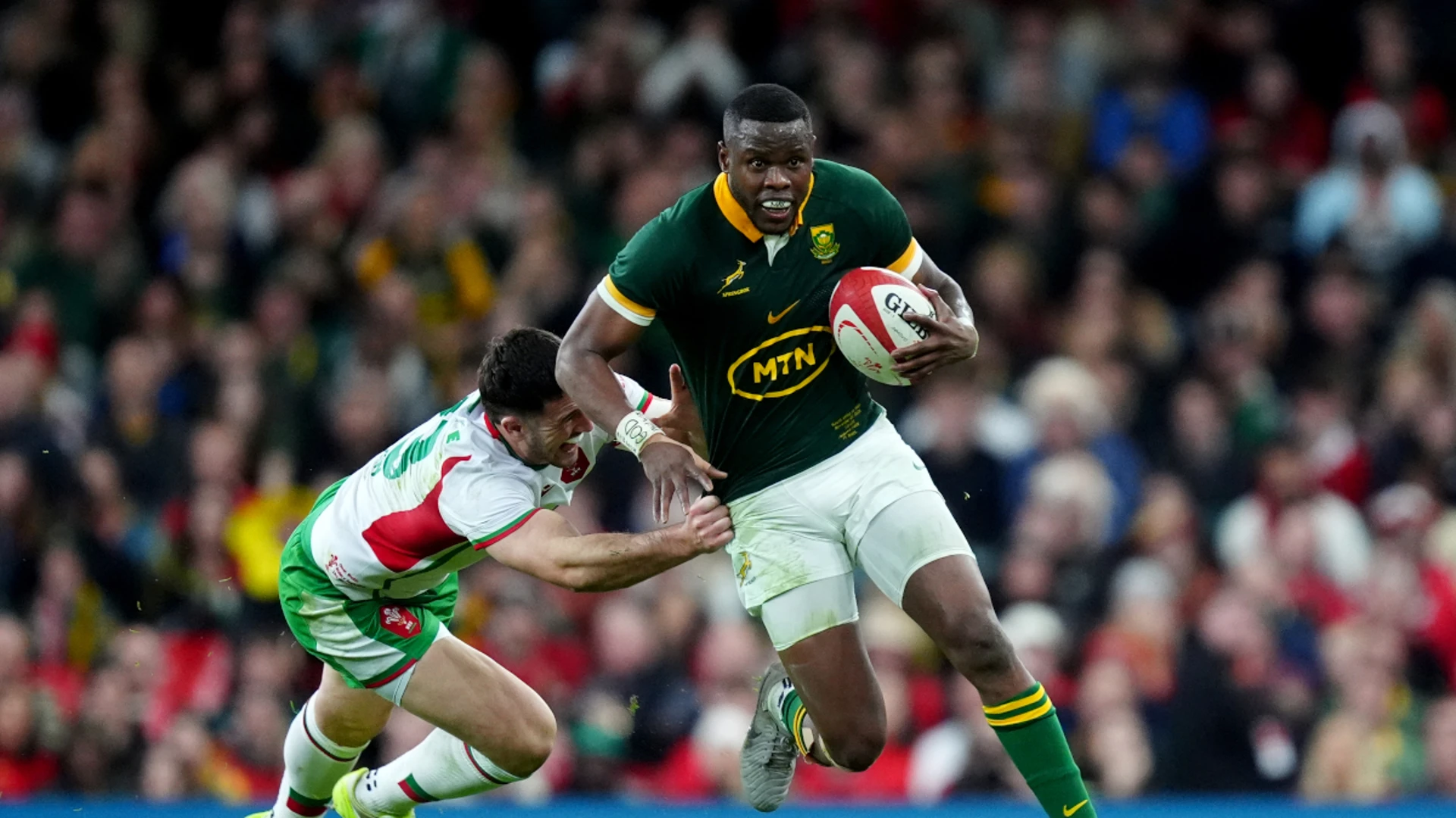 Erasmus satisfied with Springboks year as player pool grows