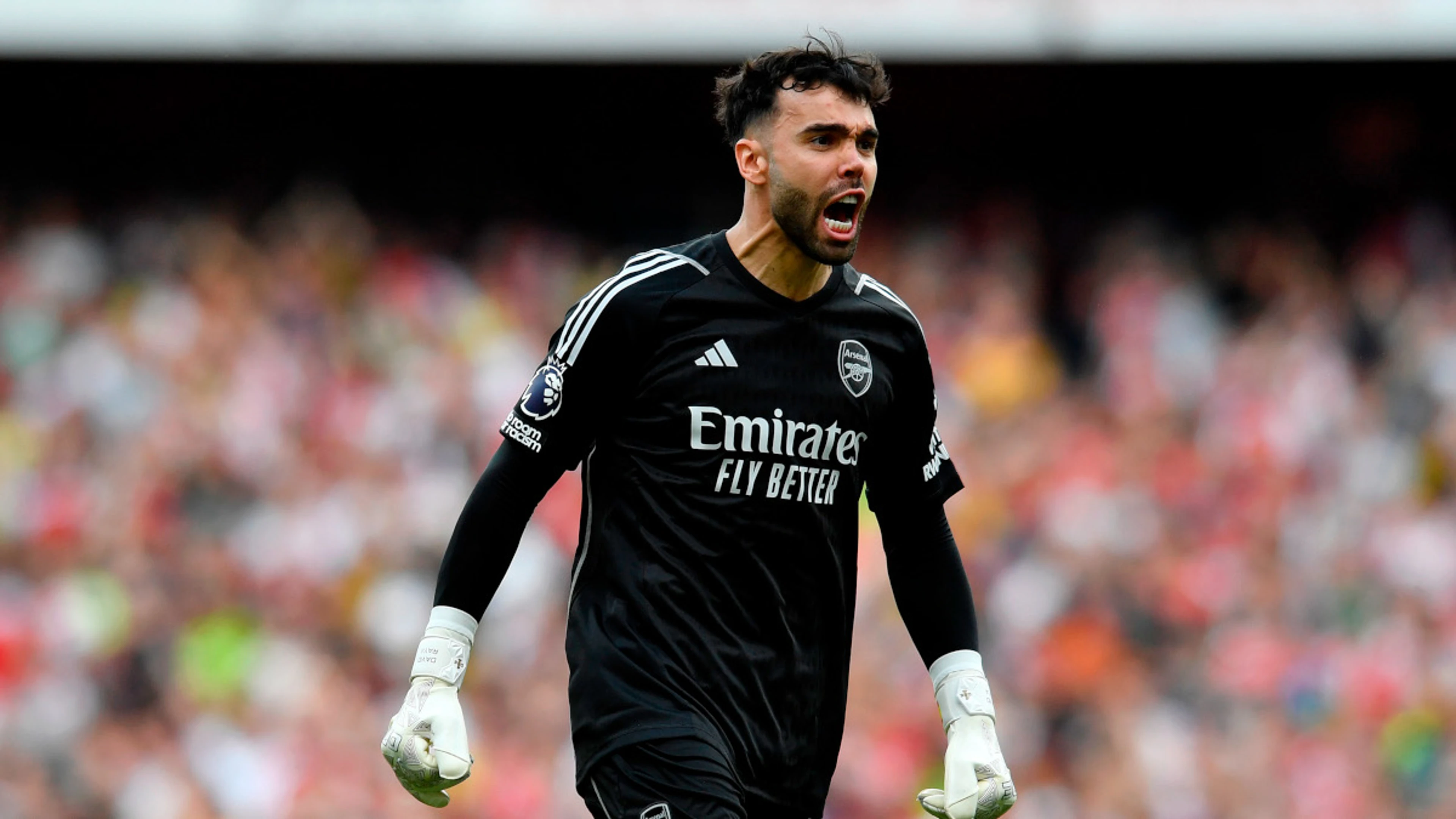 Arsenal complete permanent signing of goalkeeper Raya