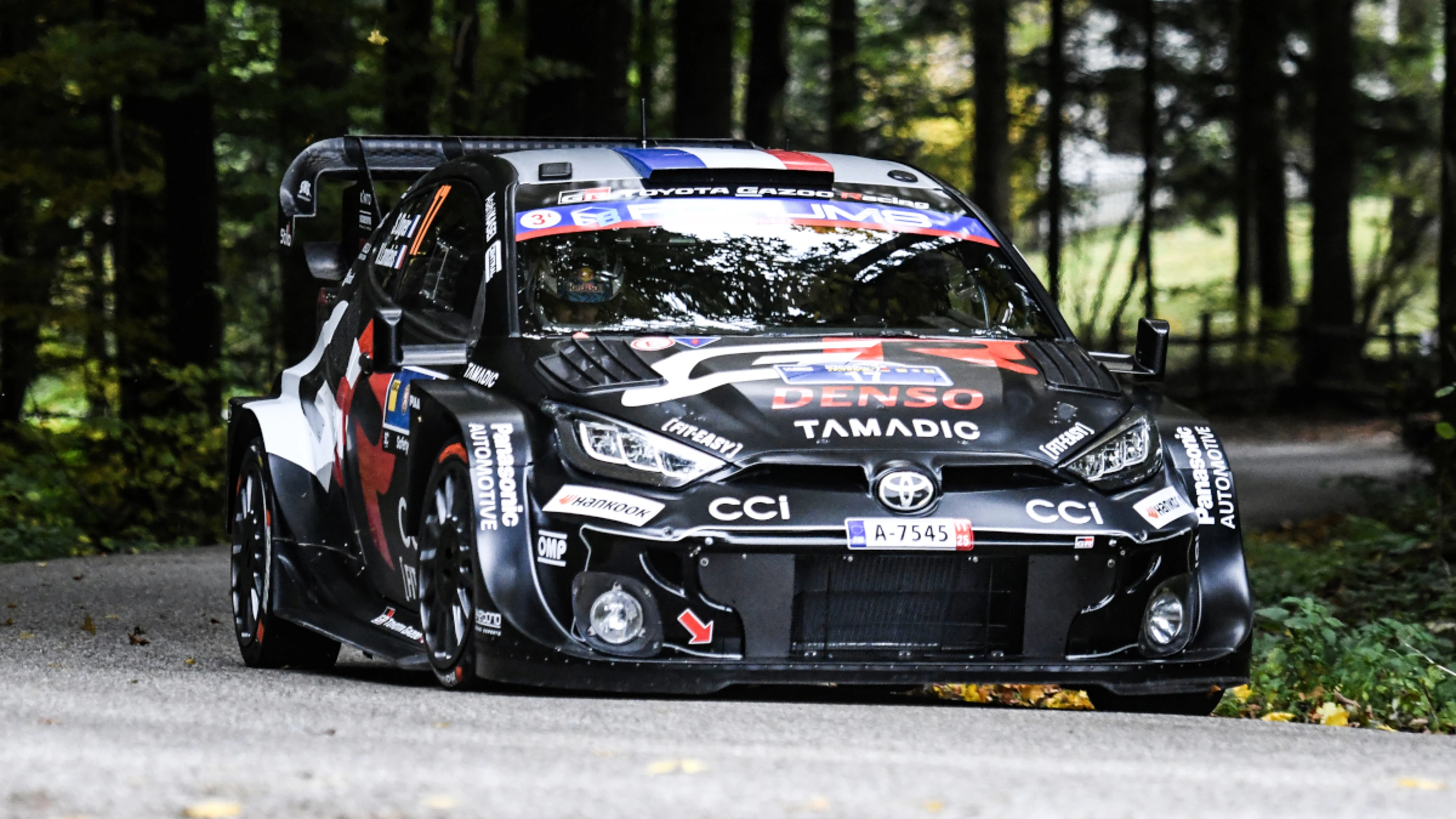 Ogier derails title tilt in wild crash at Central European Rally