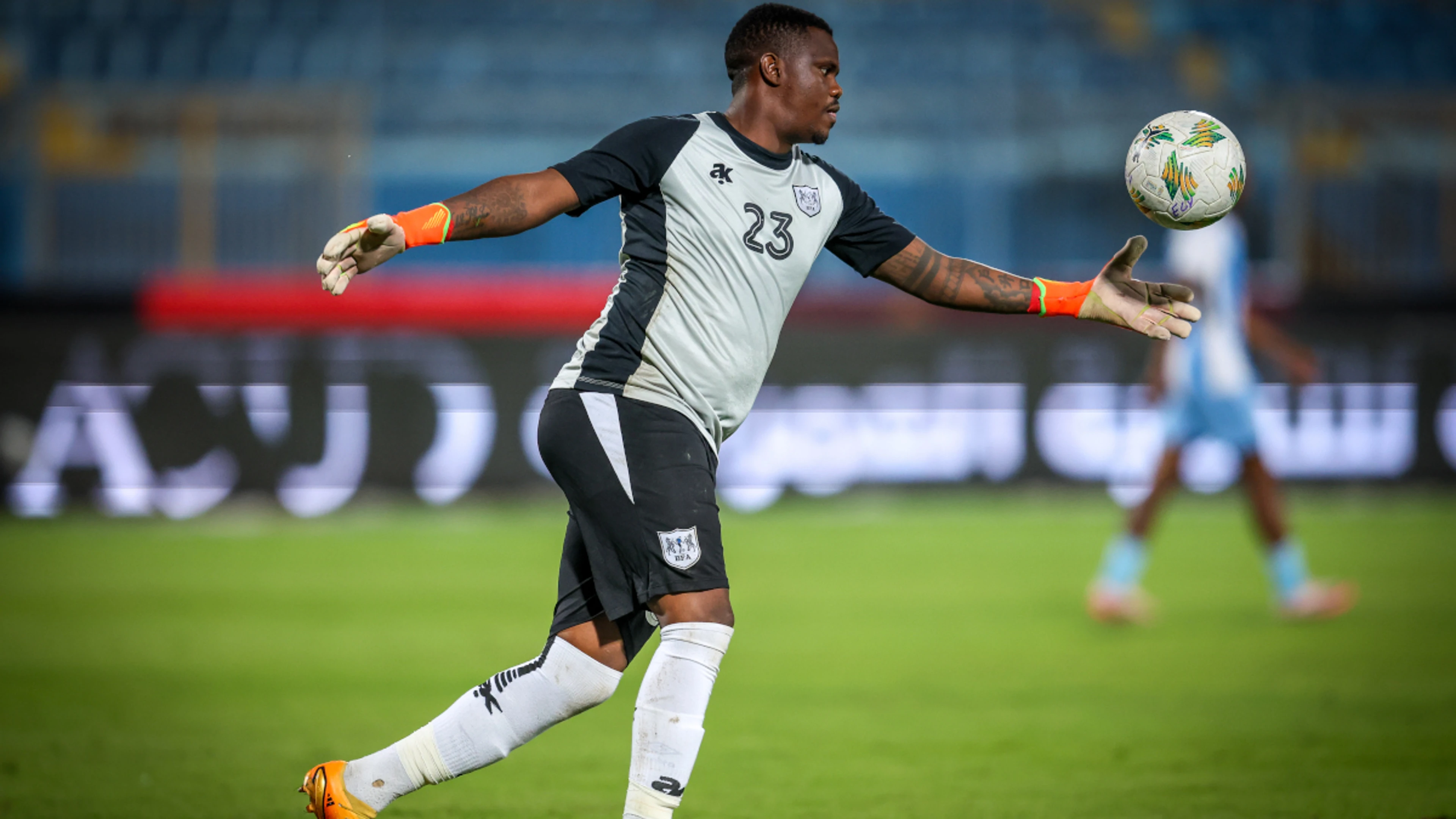 Zebras out to kick dangerous Desert Foxes