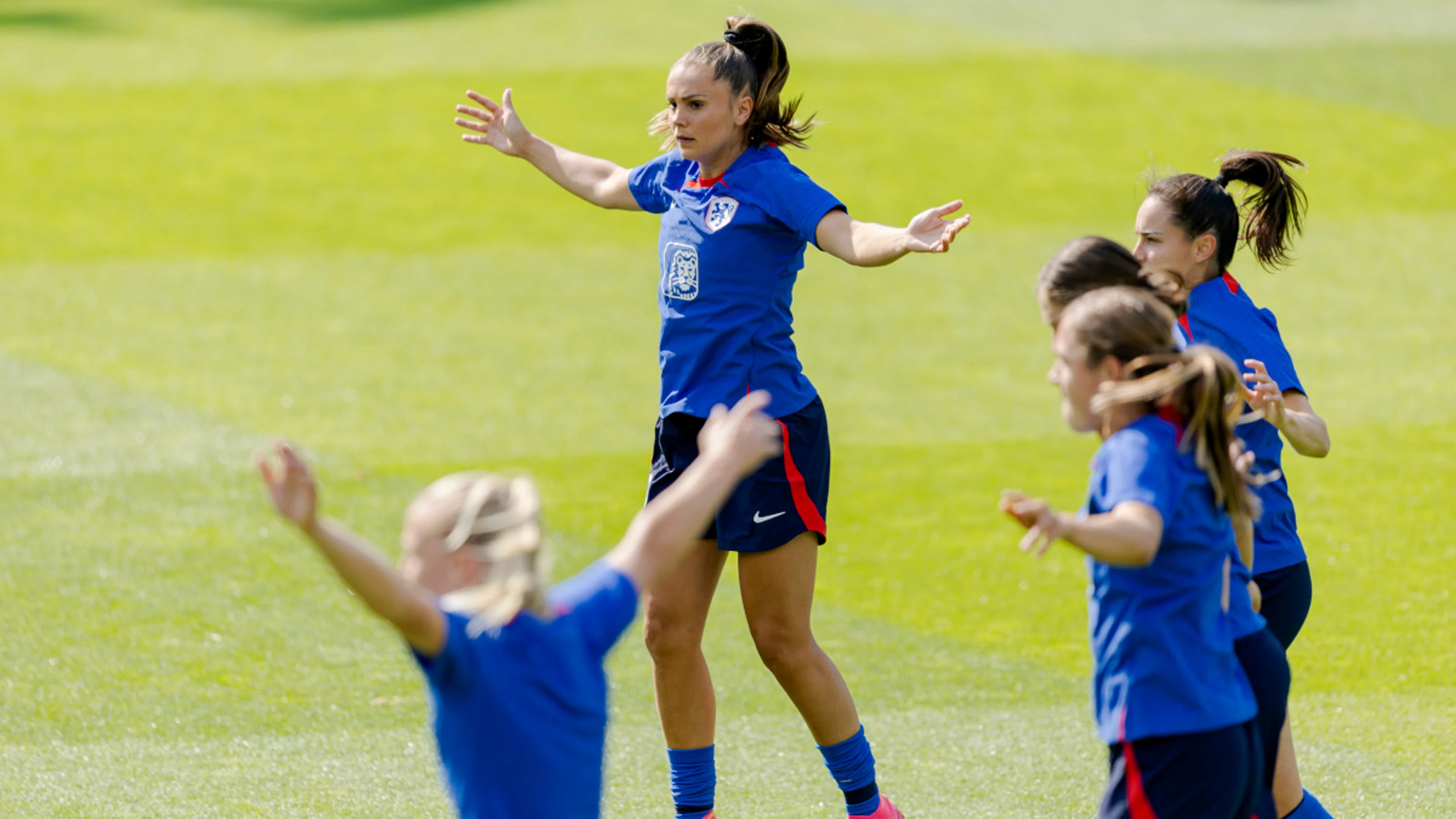 Netherlands aim to turn 'dream into reality'