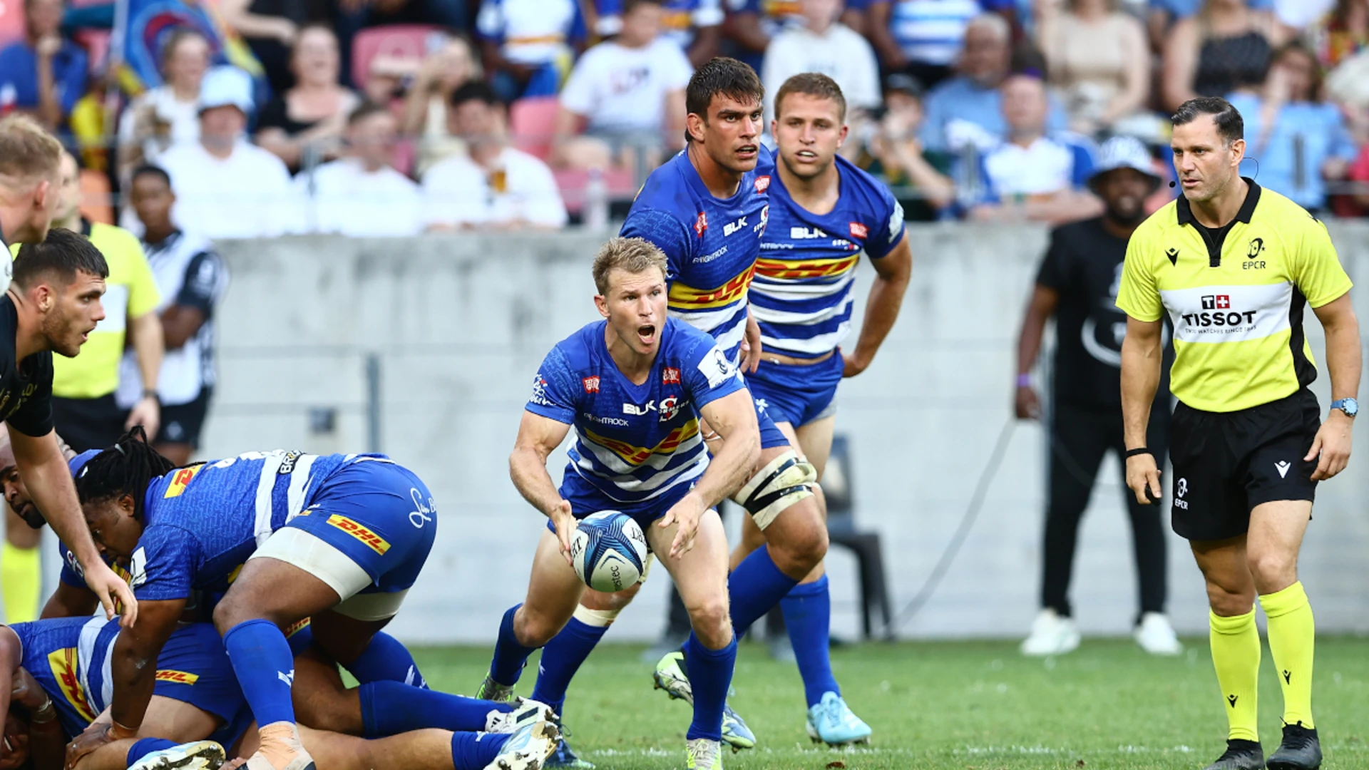 Stormers to go for broke against the other Sharks