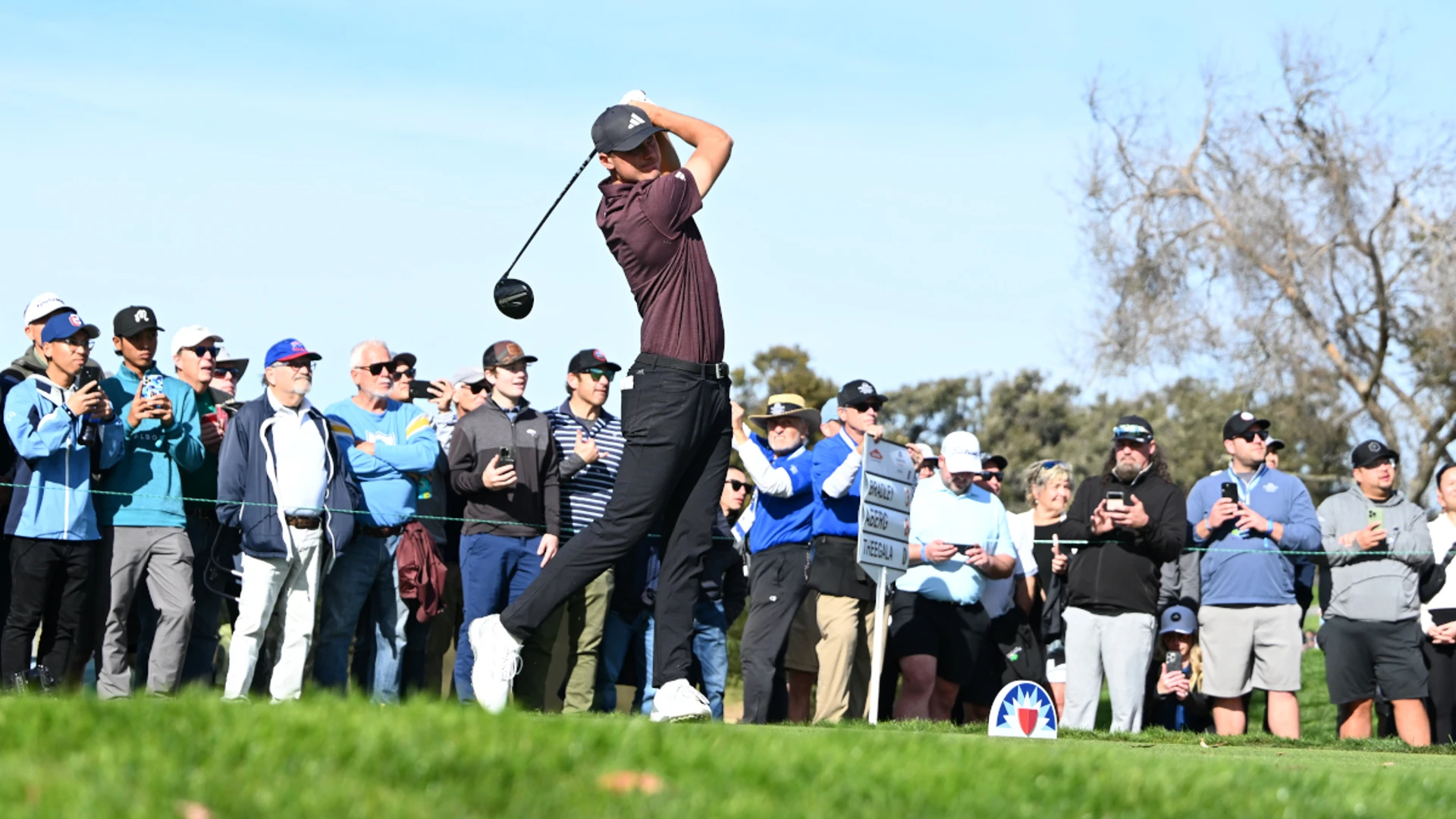 Aberg leads by two at Torrey Pines