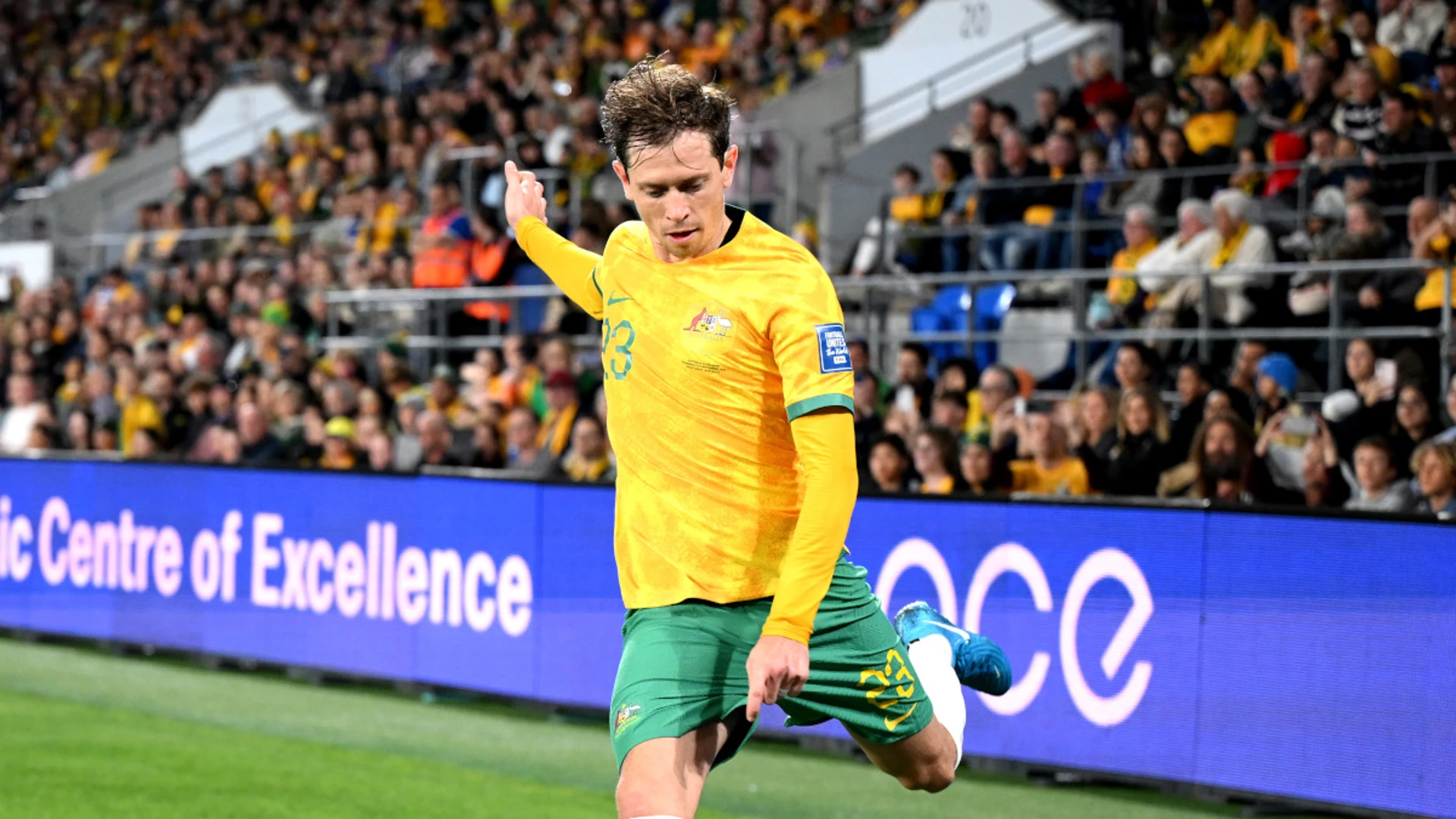 Popovic's 'winning mentality' can help Australia: Goodwin