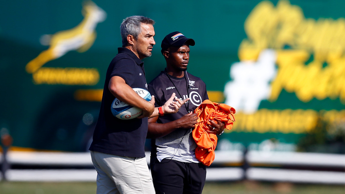 Mongalo is helping Sharks turn corner pre-Plumtree